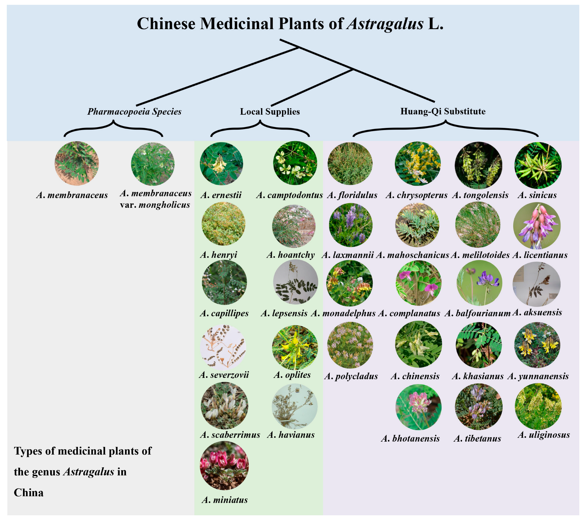 Biology 13 00625 g004