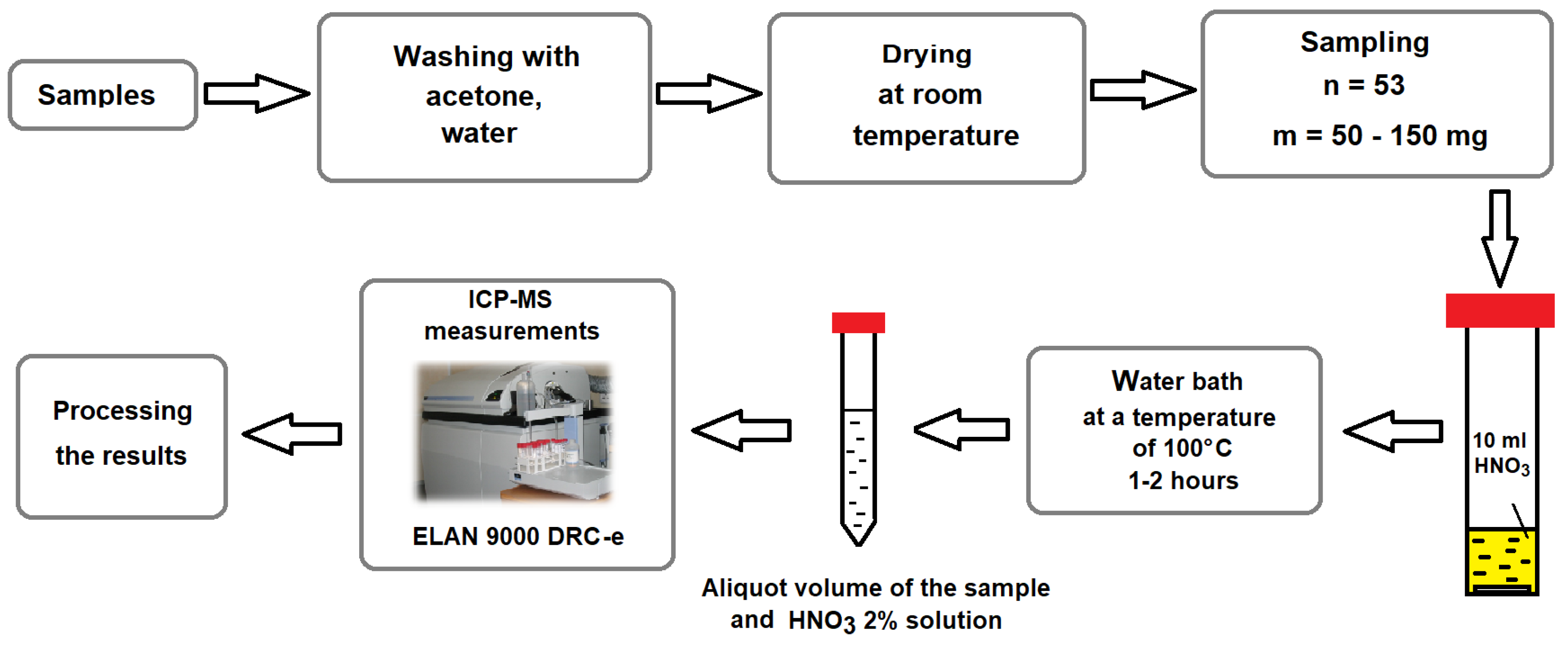 Biology 13 00626 g001