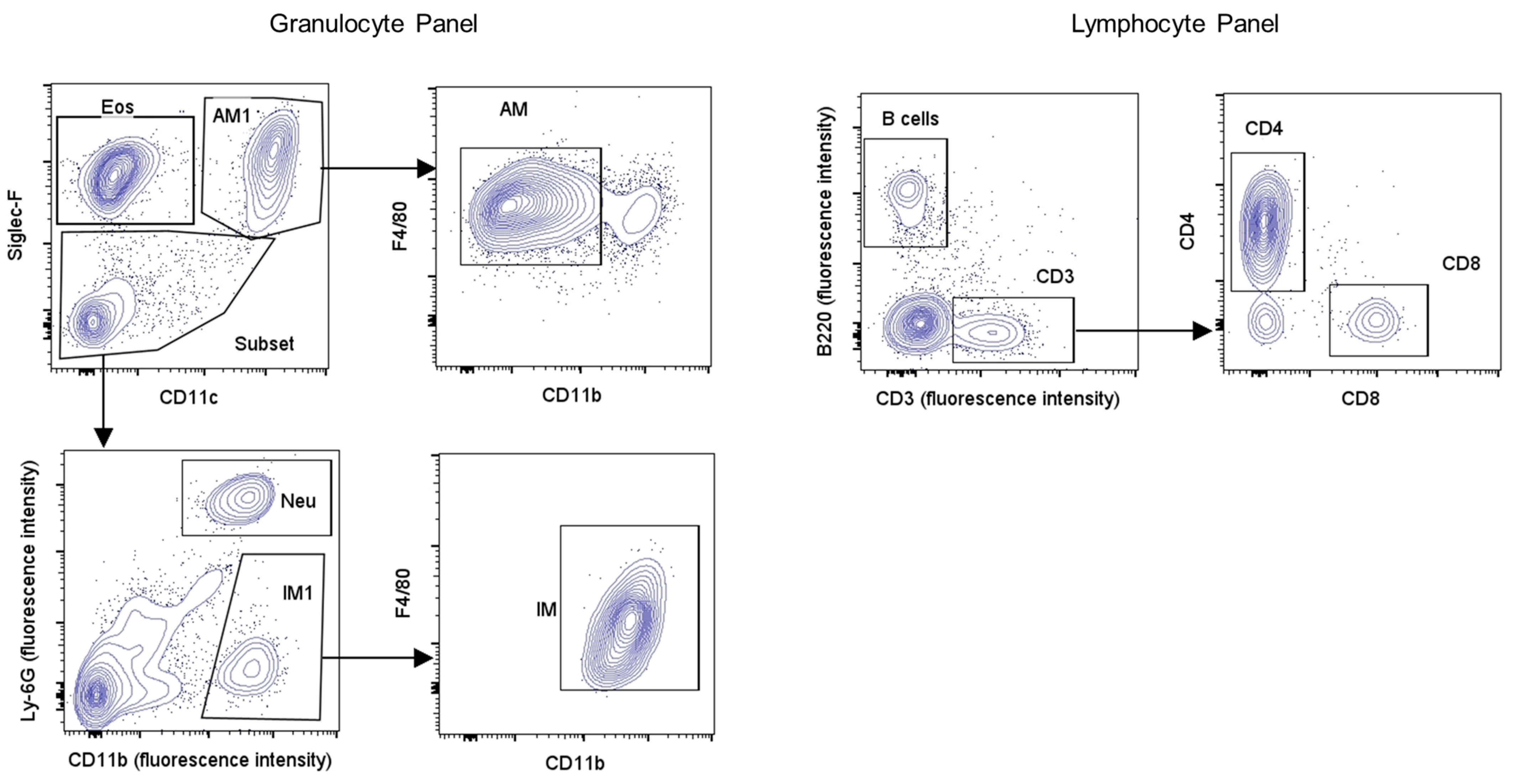 Biology 13 00627 g001