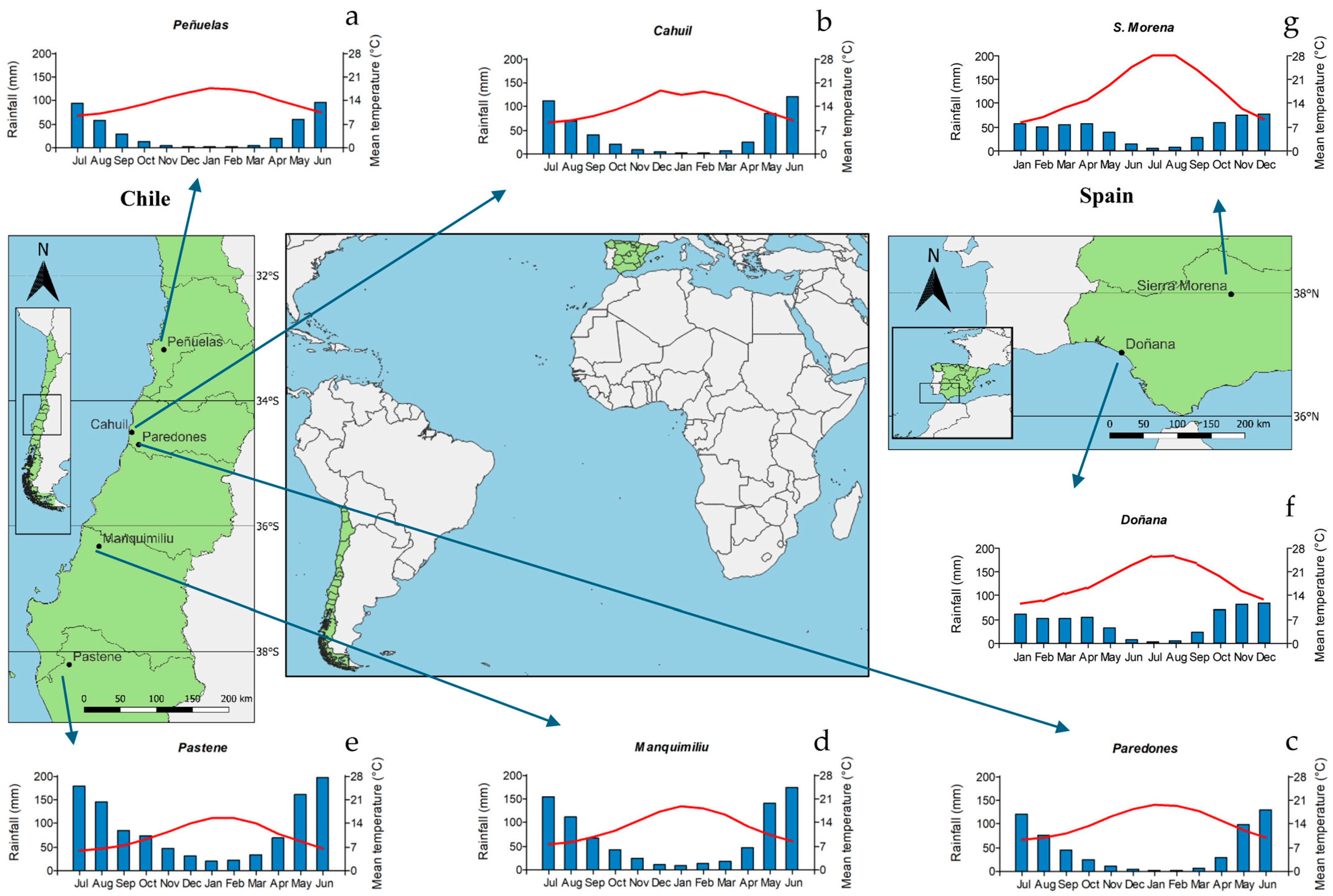 Biology 13 00628 g001