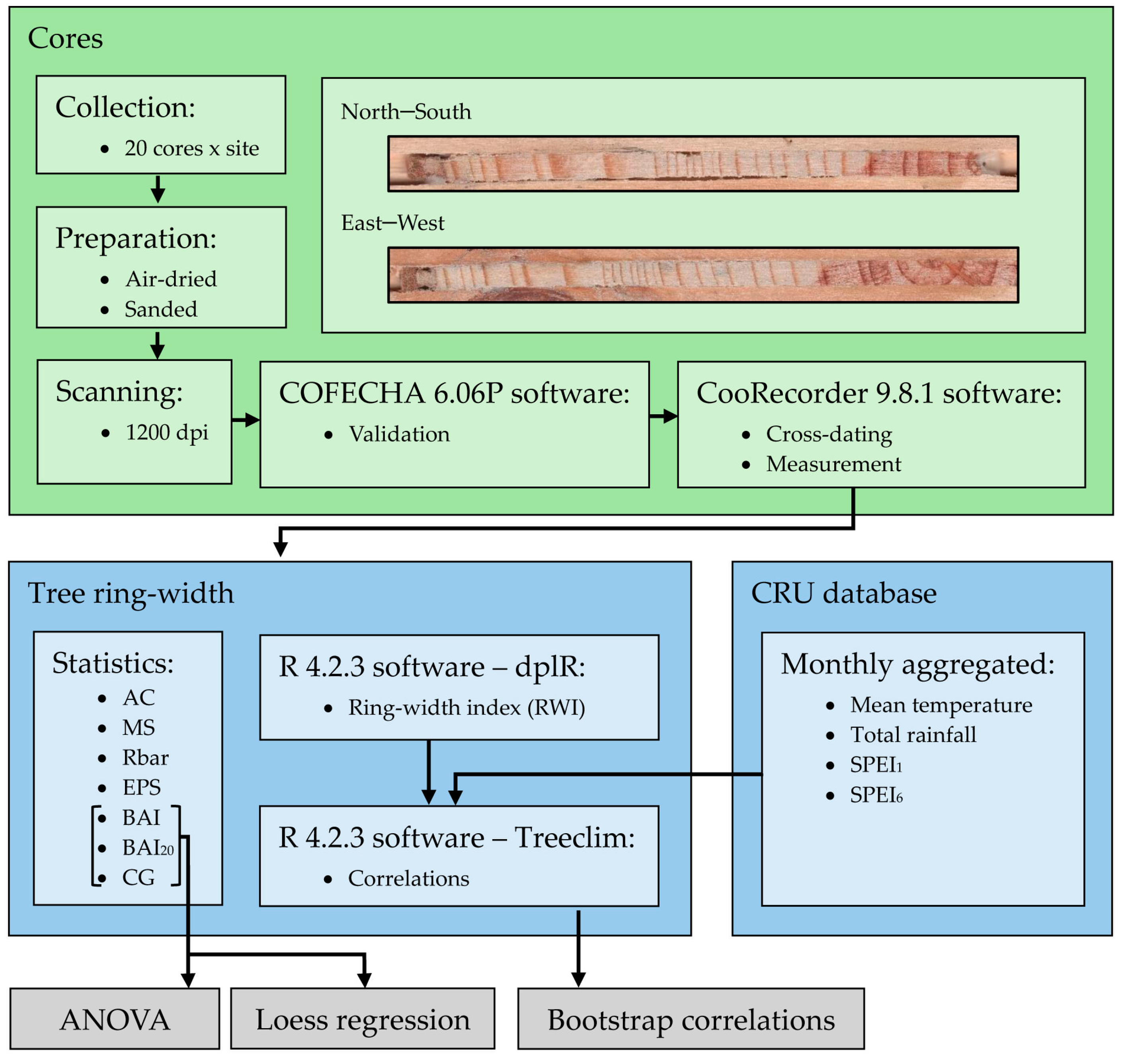 Biology 13 00628 g002