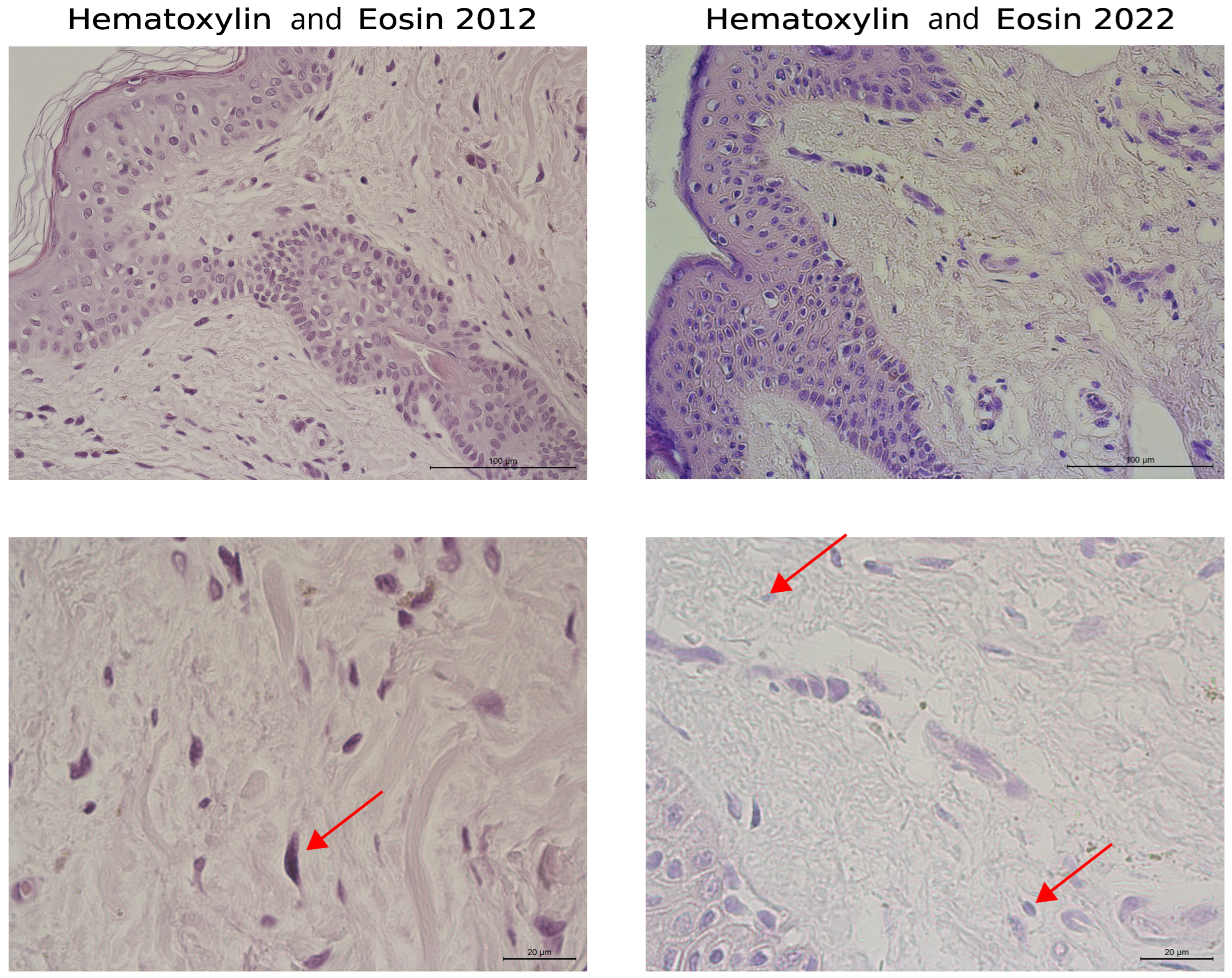 Biology 13 00636 g002