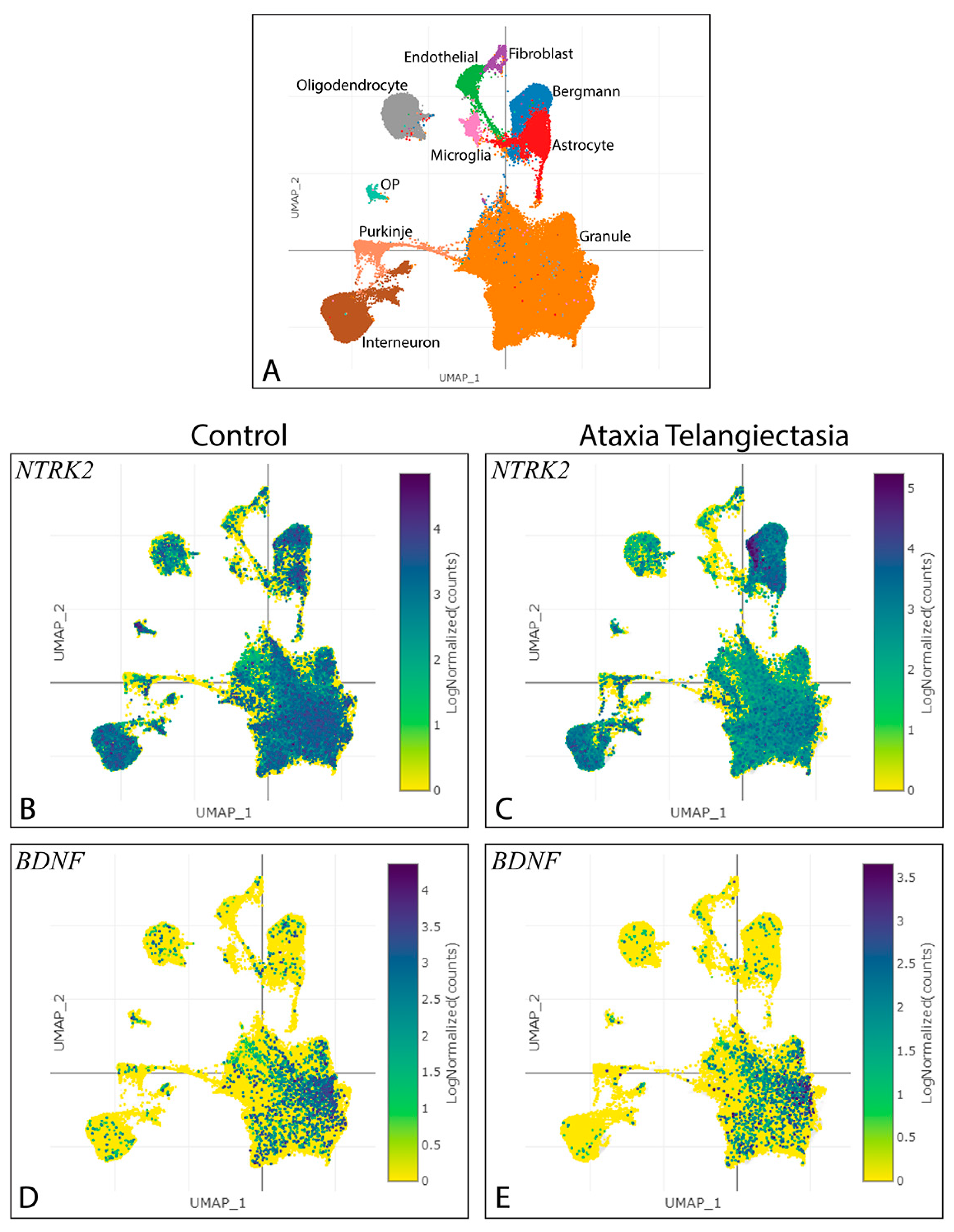Biology 13 00637 g002