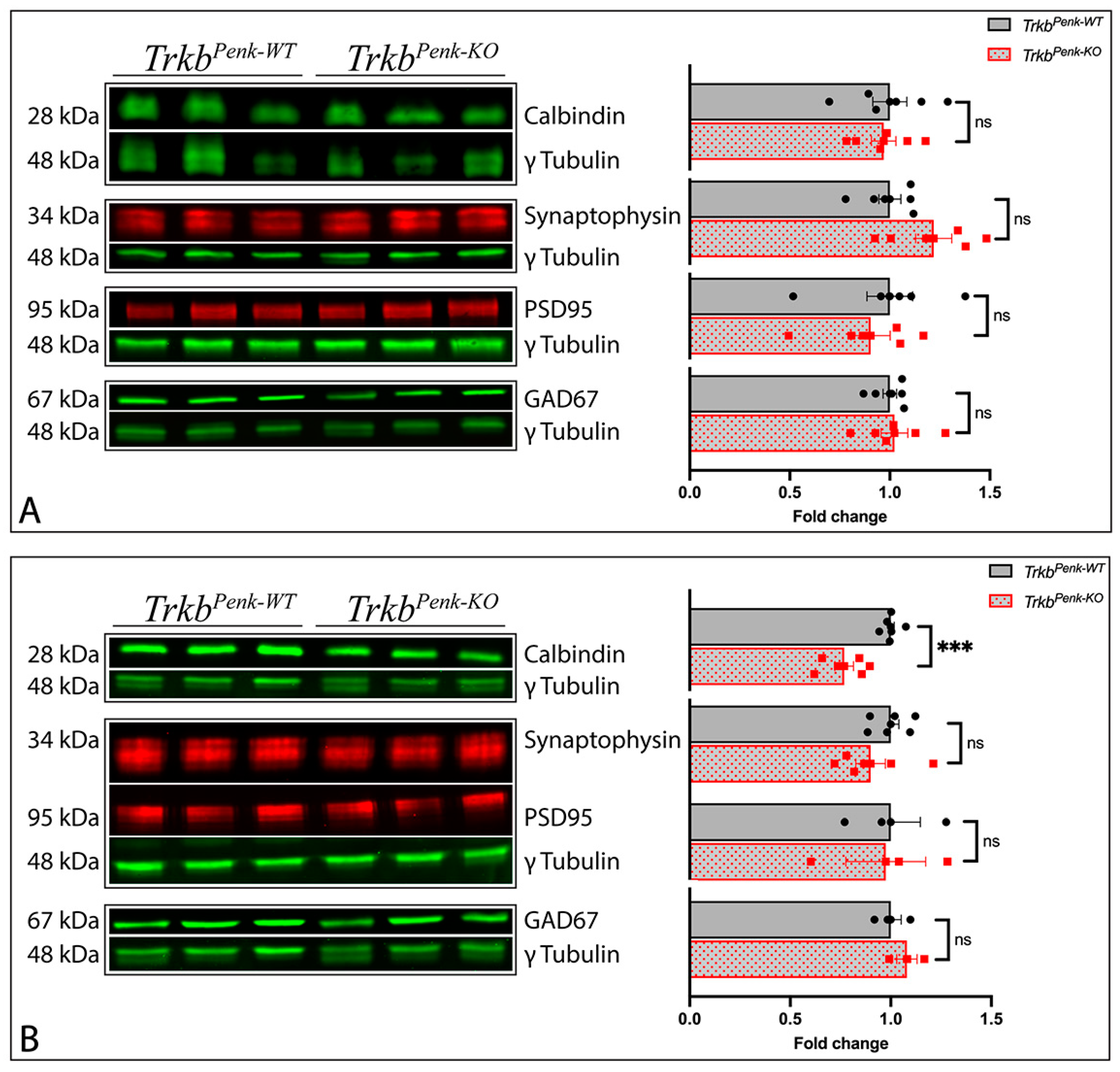 Biology 13 00637 g005