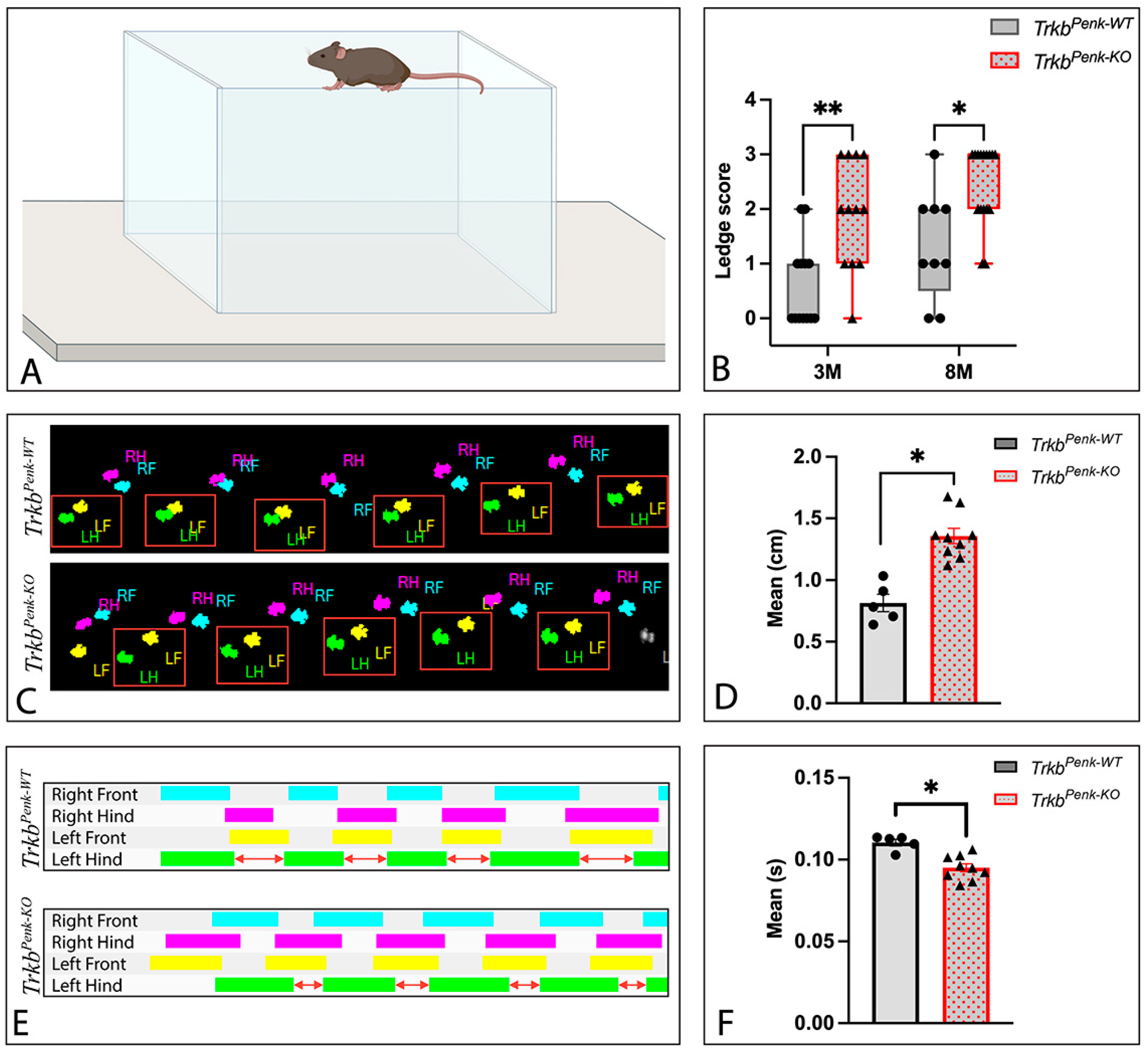 Biology 13 00637 g006