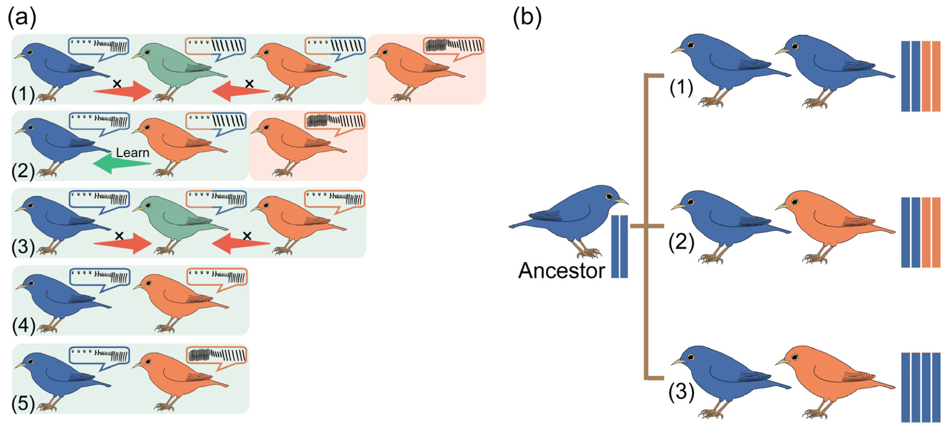 Biology 13 00643 g001