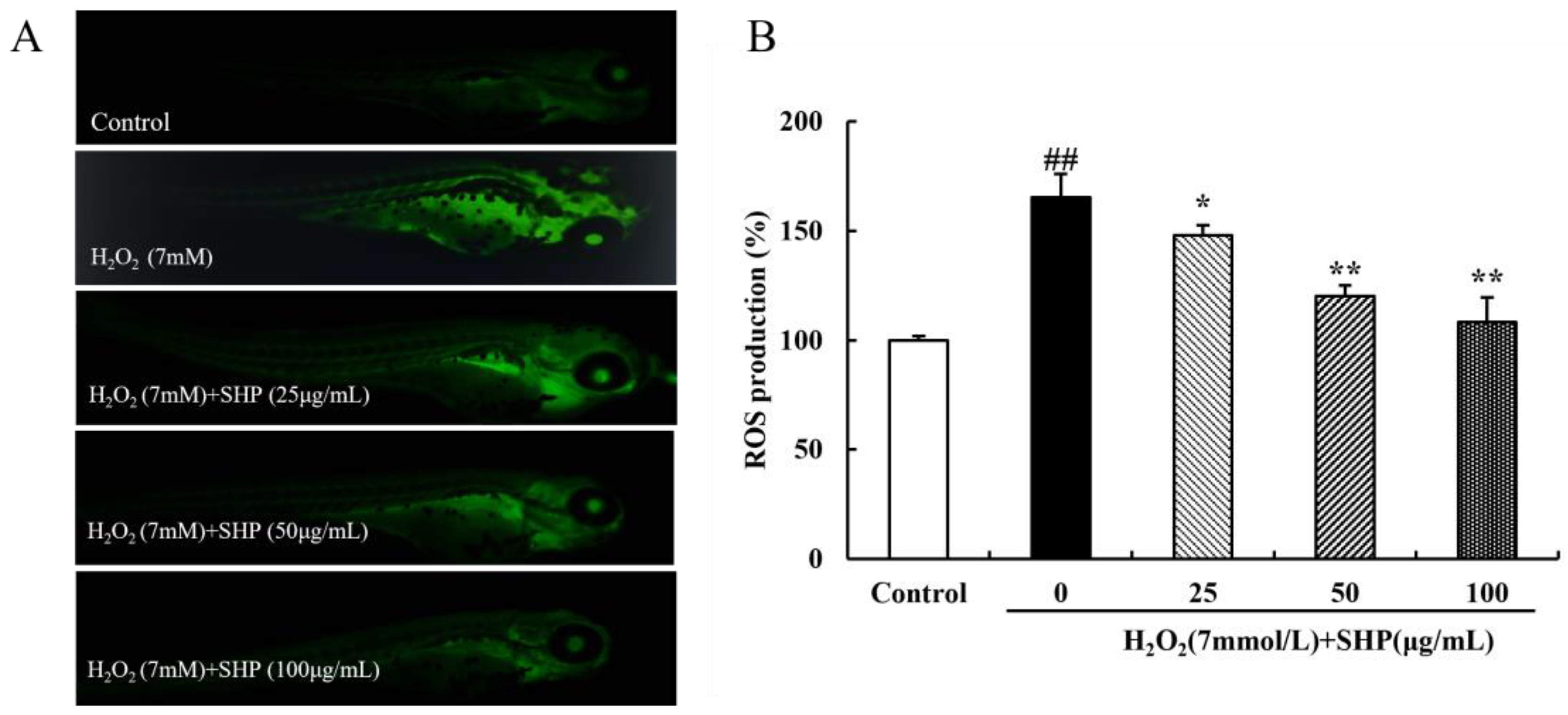 Biology 13 00651 g008