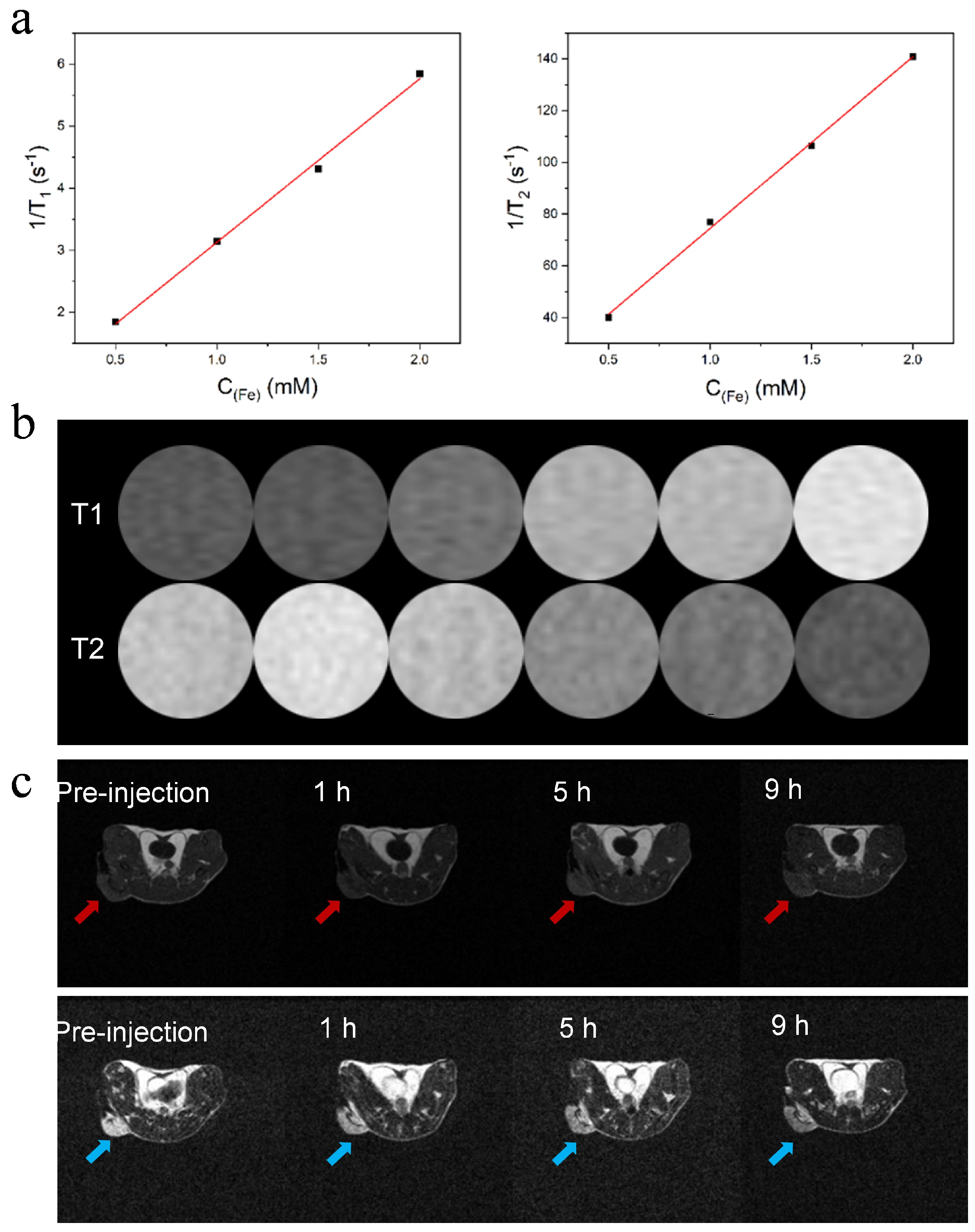 Biology 13 00658 g003