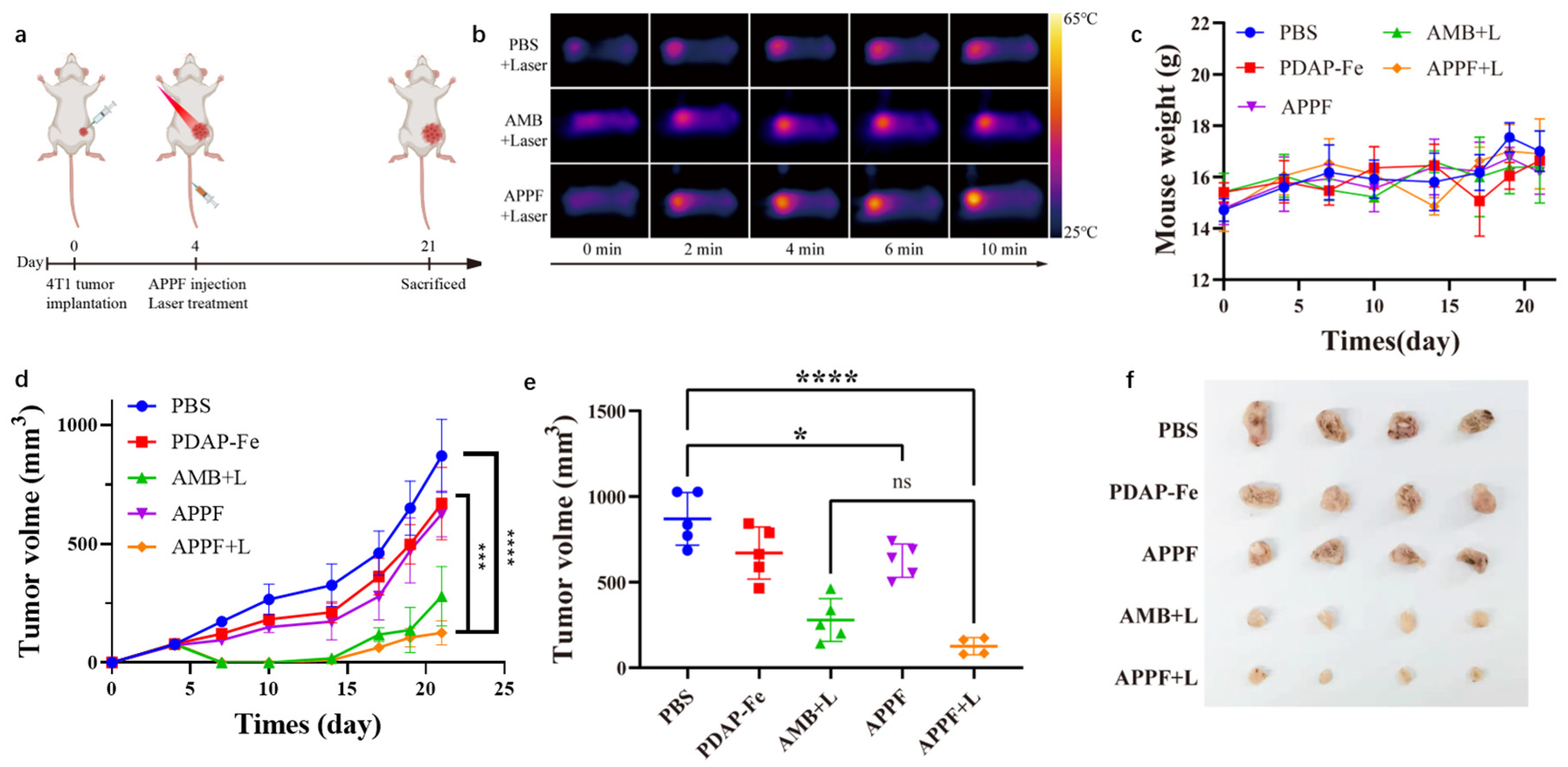 Biology 13 00658 g004