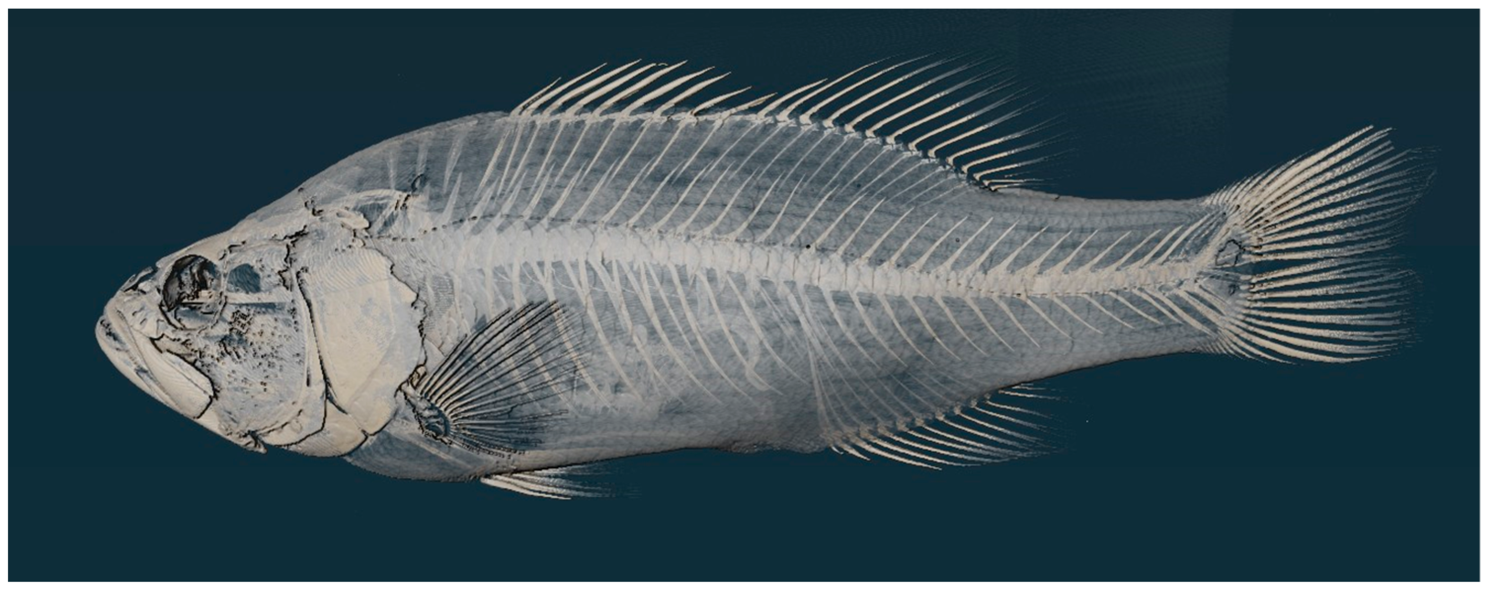 Biology 13 00660 g003 Biology 13 00660 g003