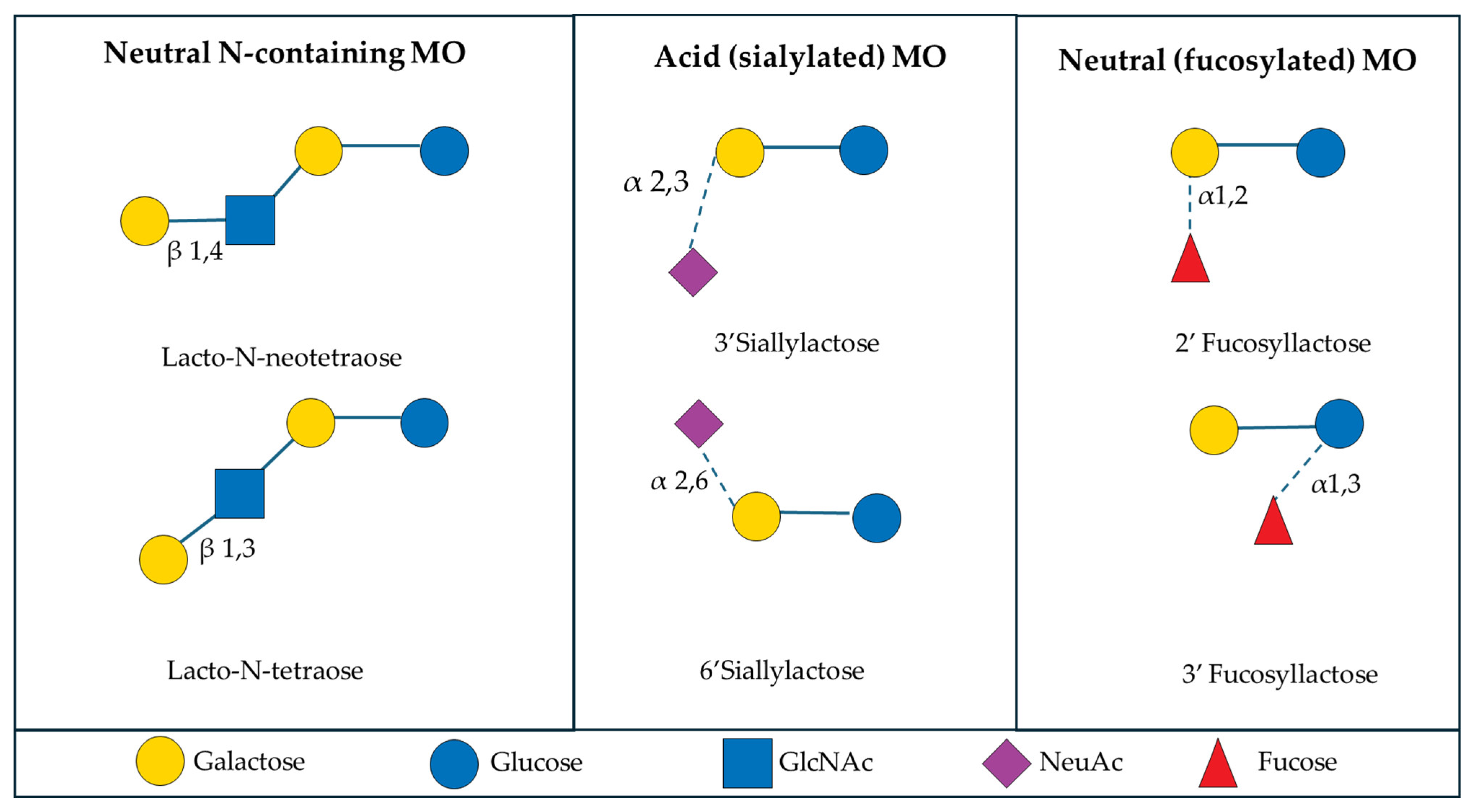 Biology 13 00663 g001