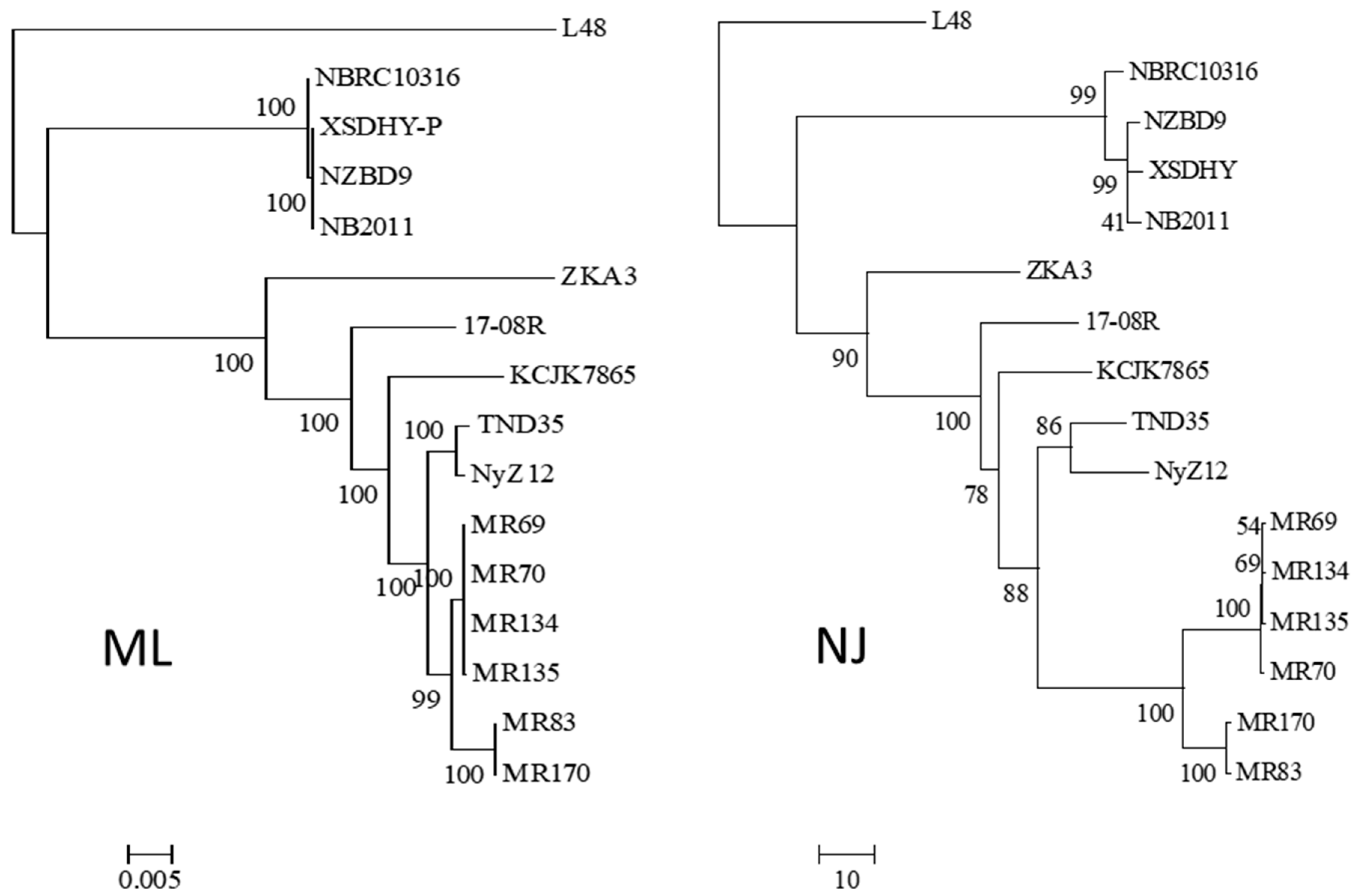 Biology 13 00671 g001