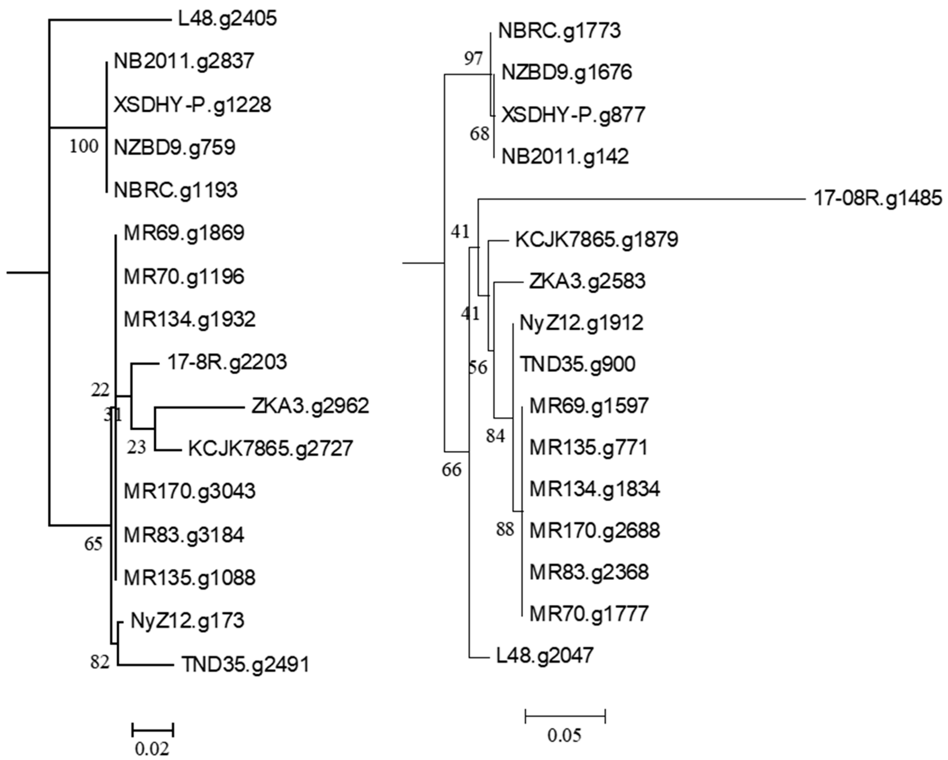 Biology 13 00671 g002