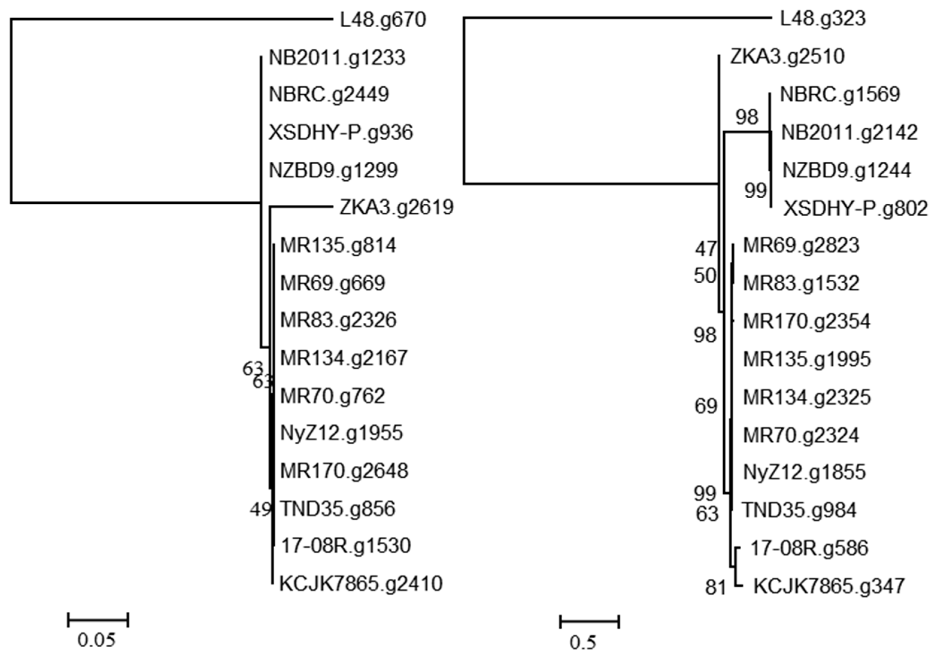 Biology 13 00671 g003