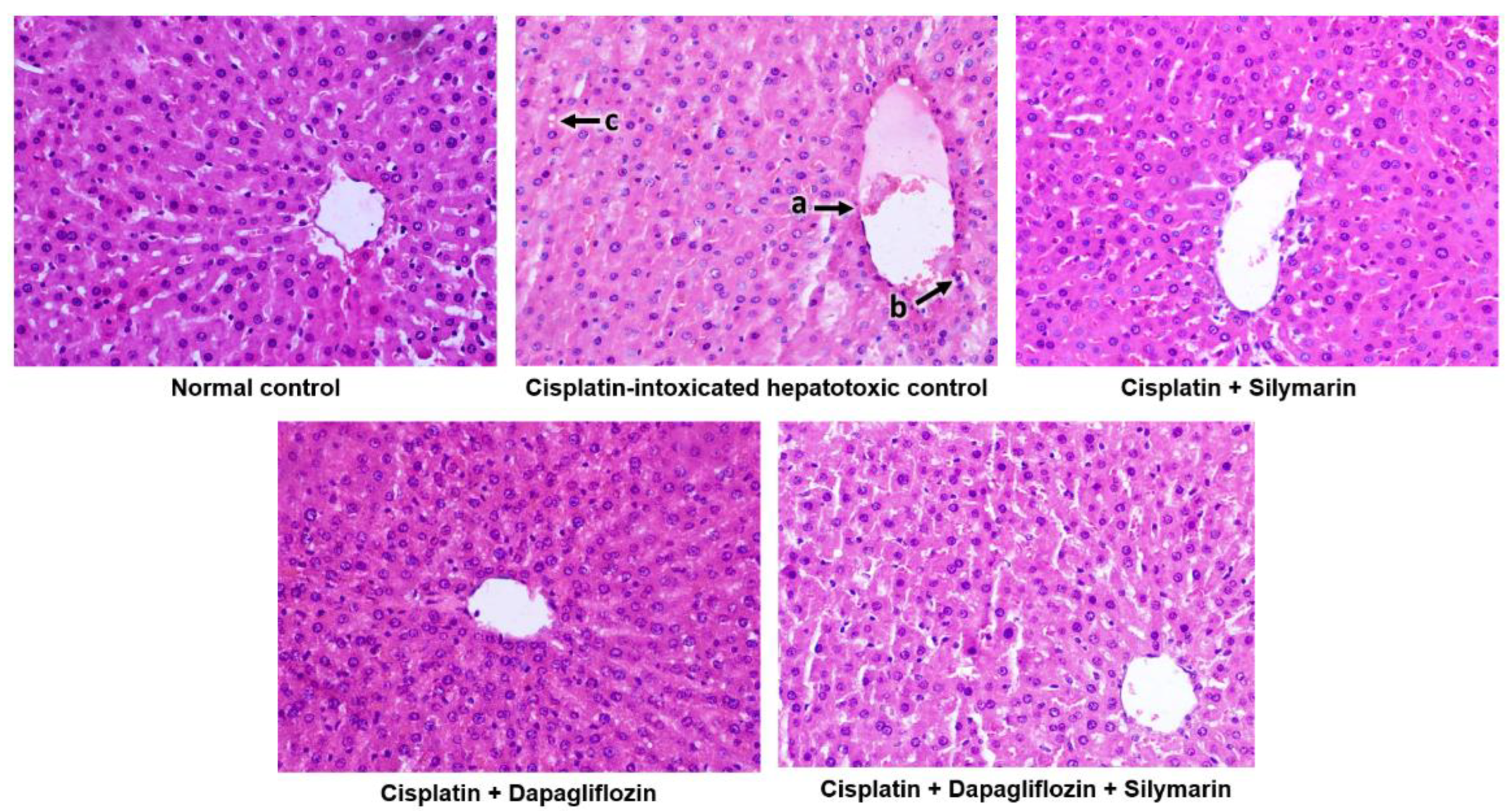Biology 13 00672 g005