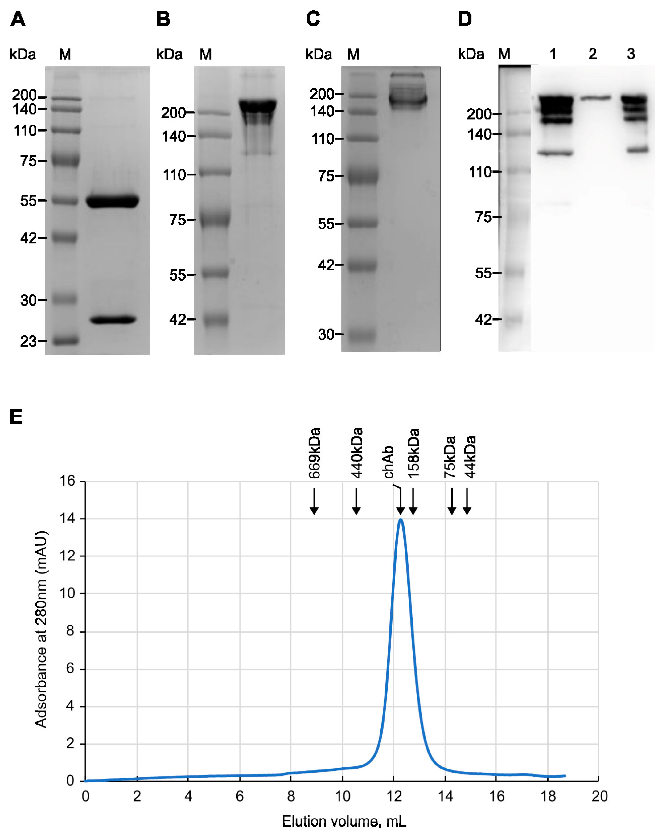 Biology 13 00675 g002 Biology 13 00675 g002