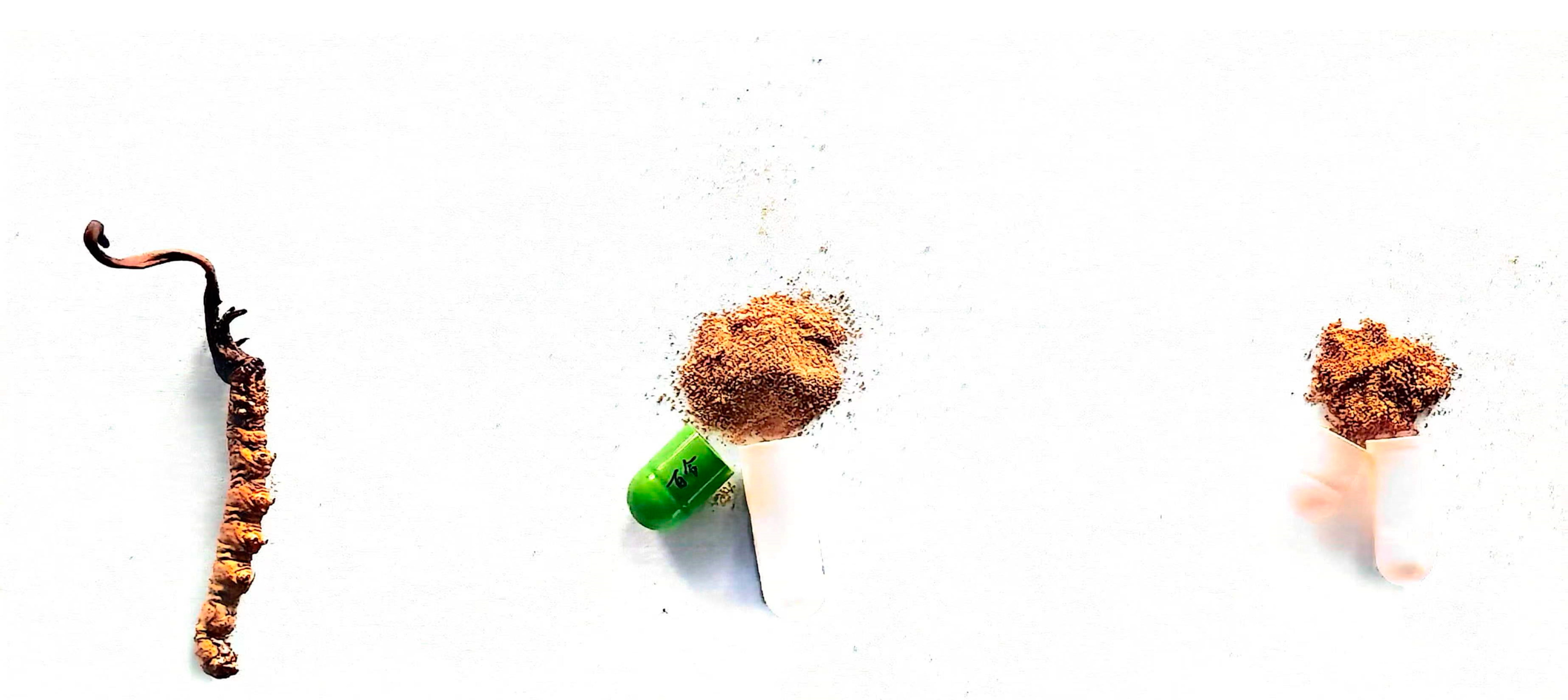 Biology 13 00683 g001