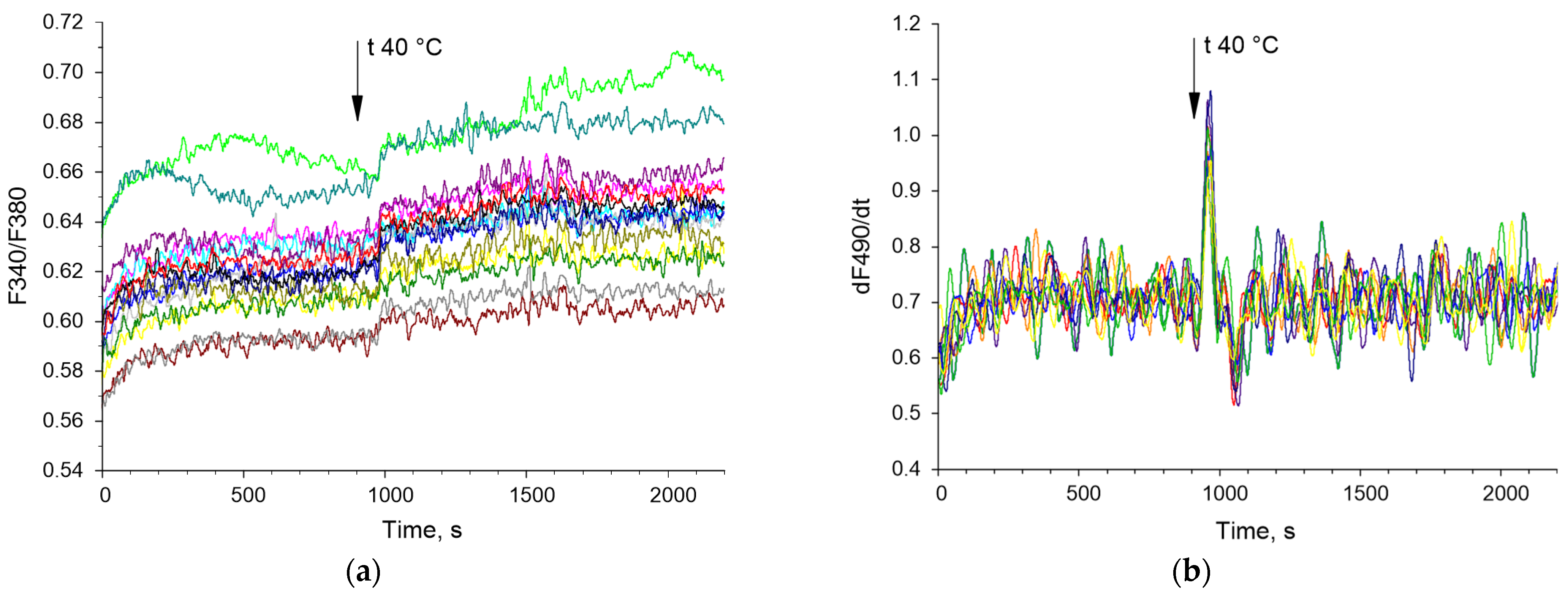 Biology 13 00685 g003 Biology 13 00685 g003