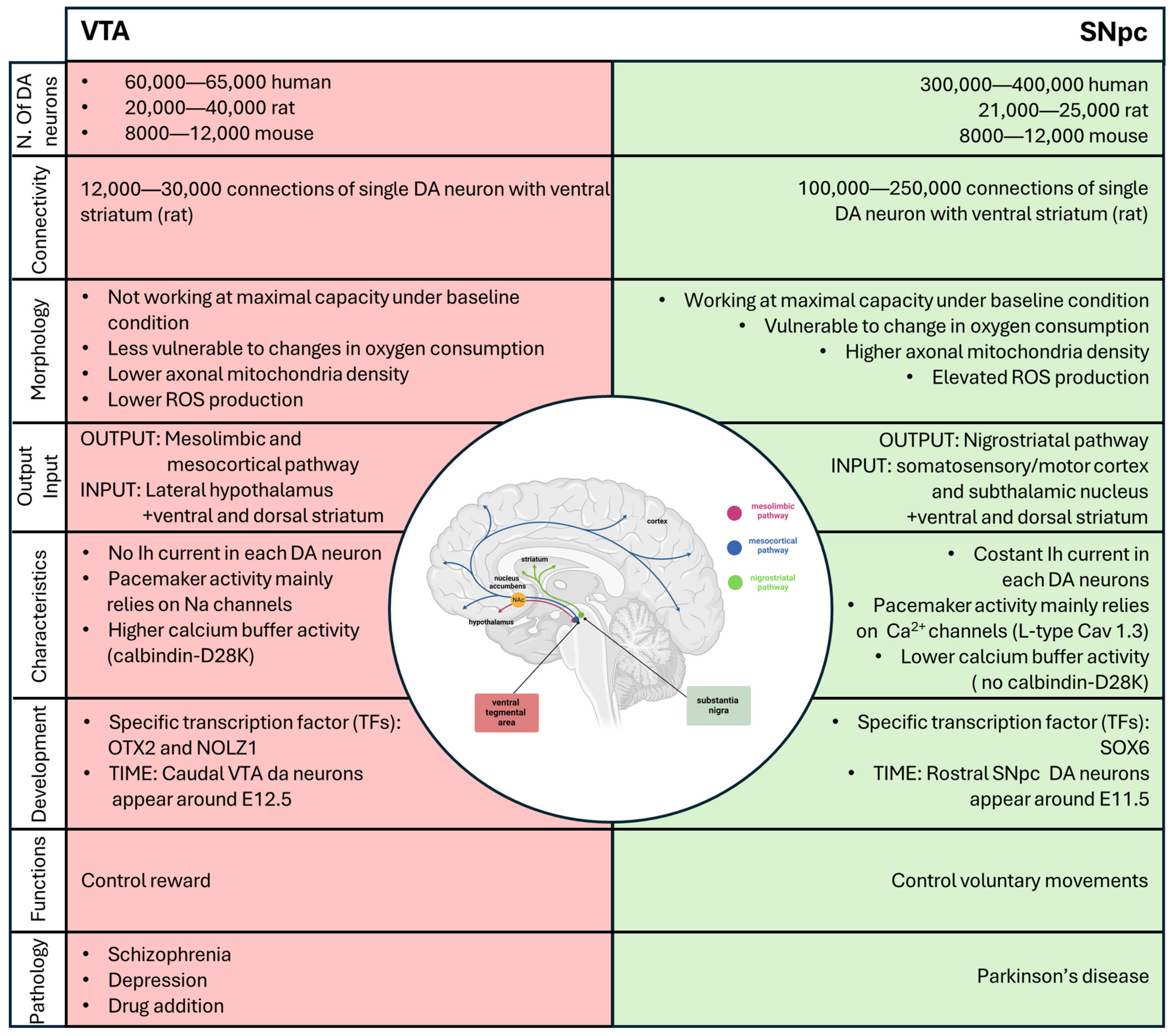 Biology 13 00690 g004