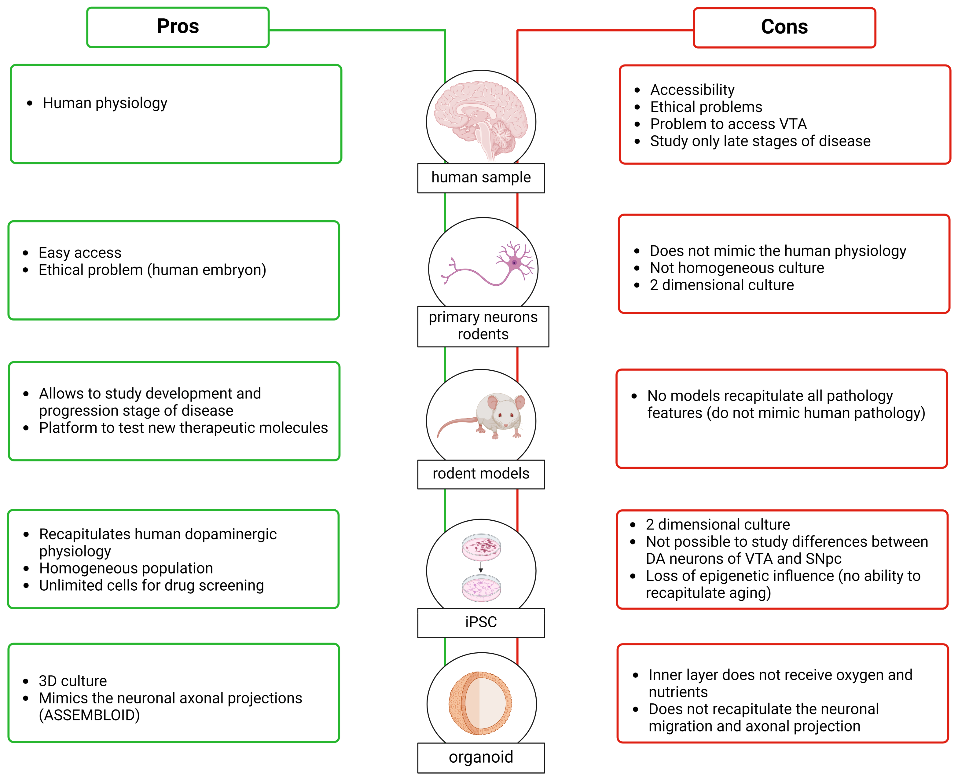 Biology 13 00690 g005