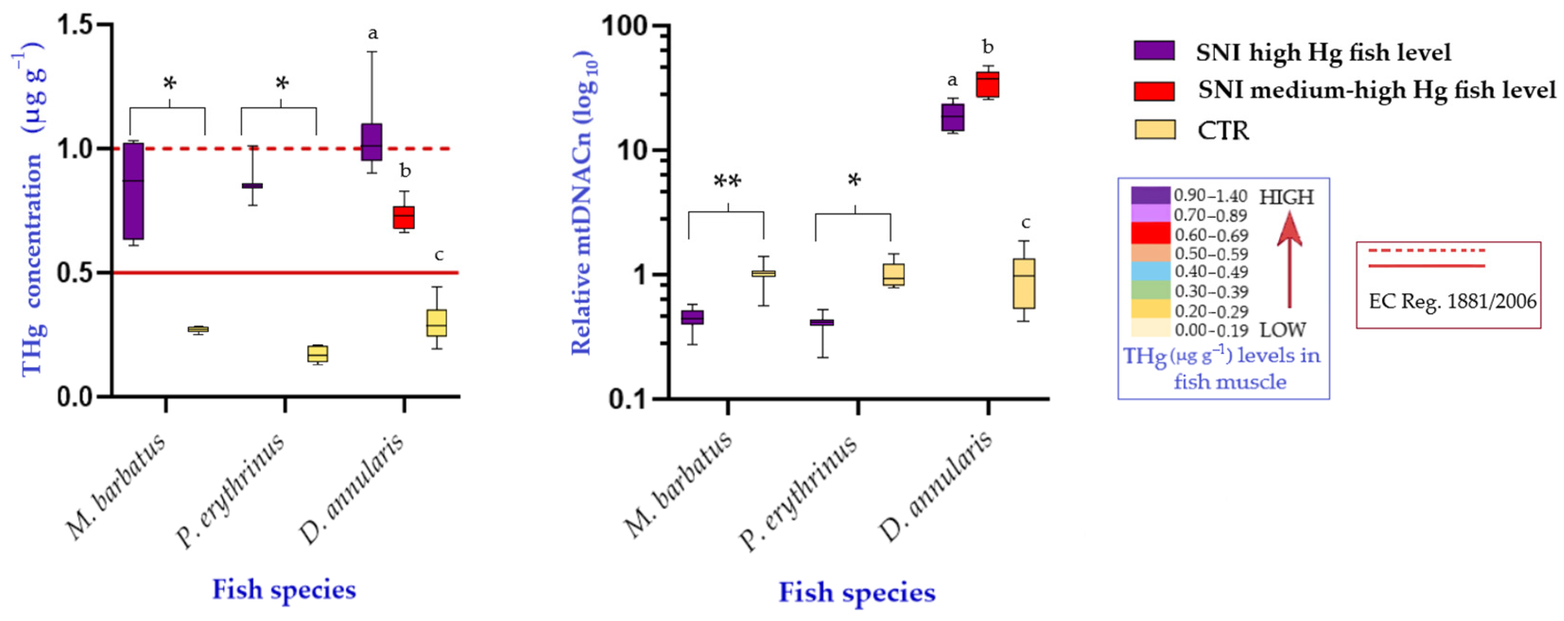 Biology 13 00691 g004