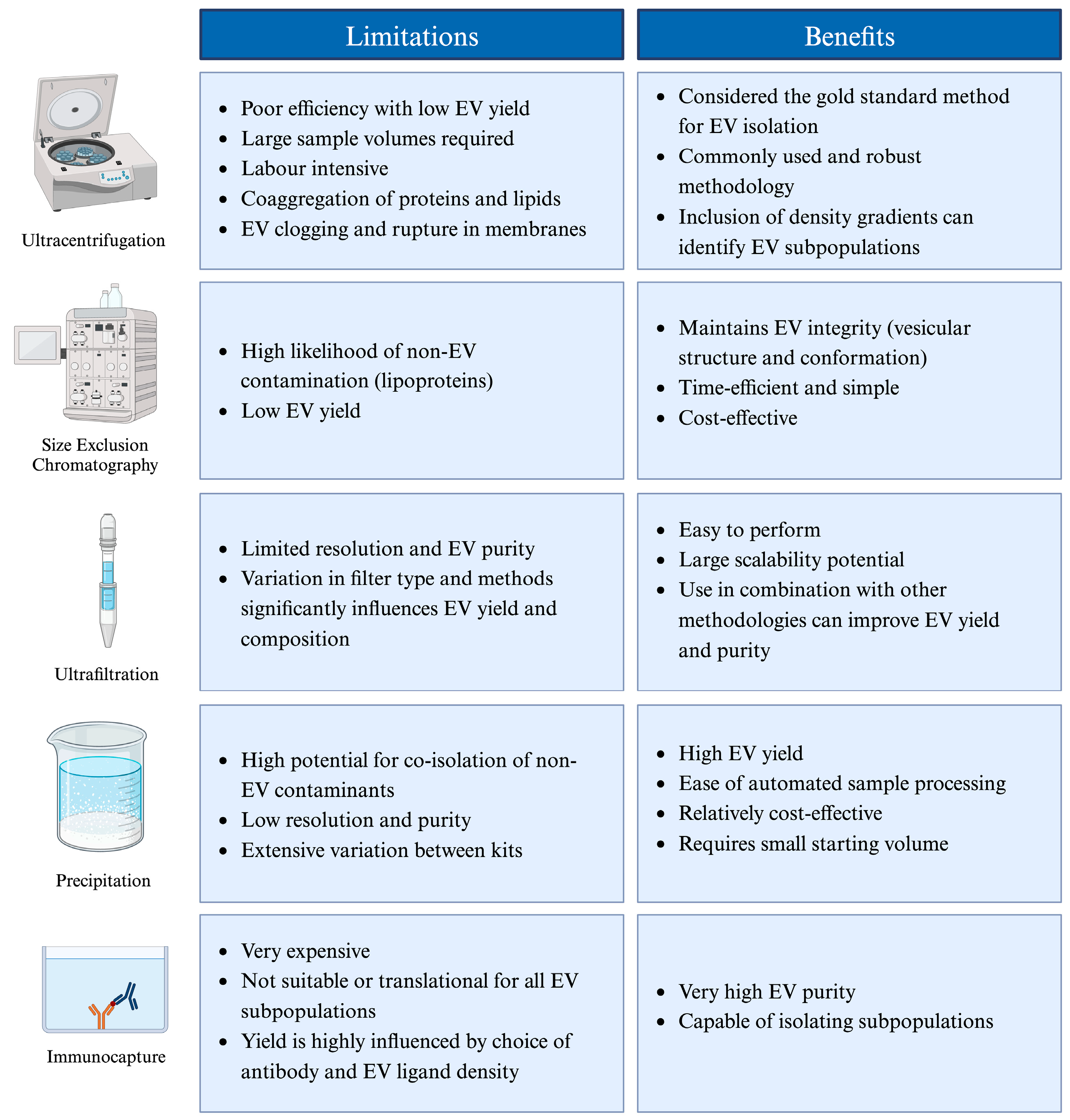 Biology 13 00694 g003