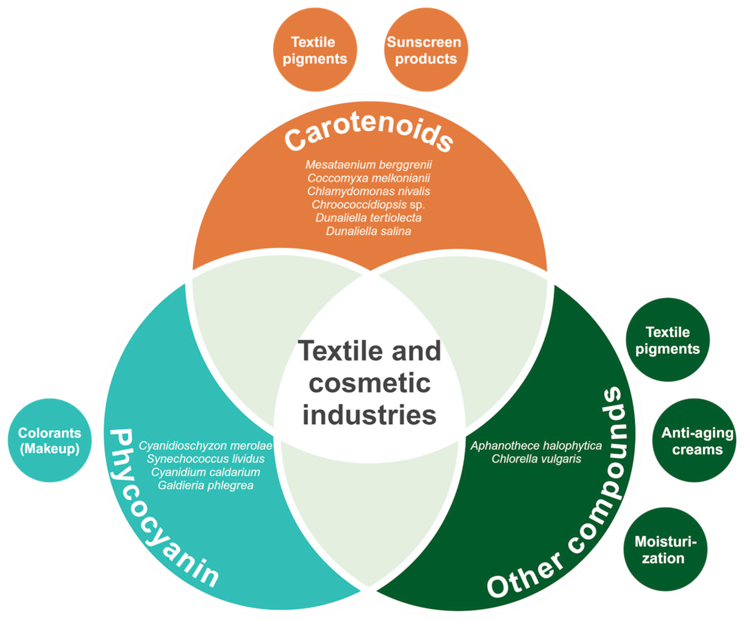 Biology 13 00712 g003 Biology 13 00712 g003