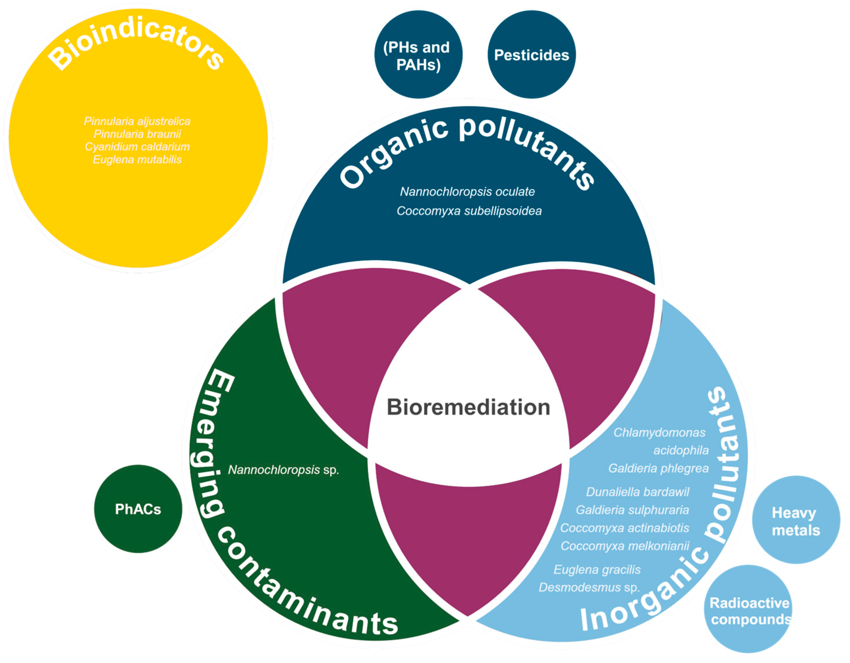 Biology 13 00712 g004 Biology 13 00712 g004