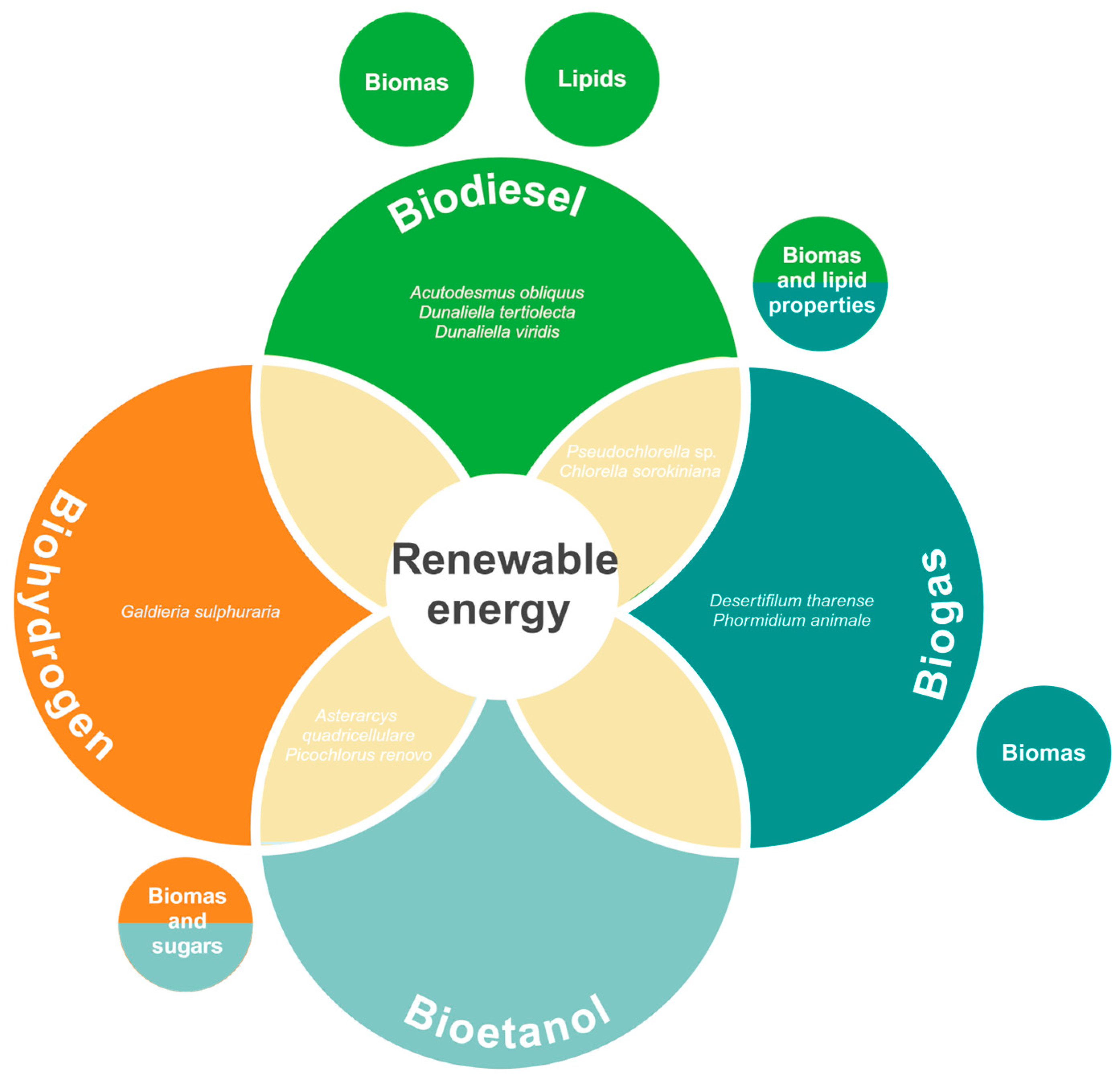 Biology 13 00712 g005 Biology 13 00712 g005