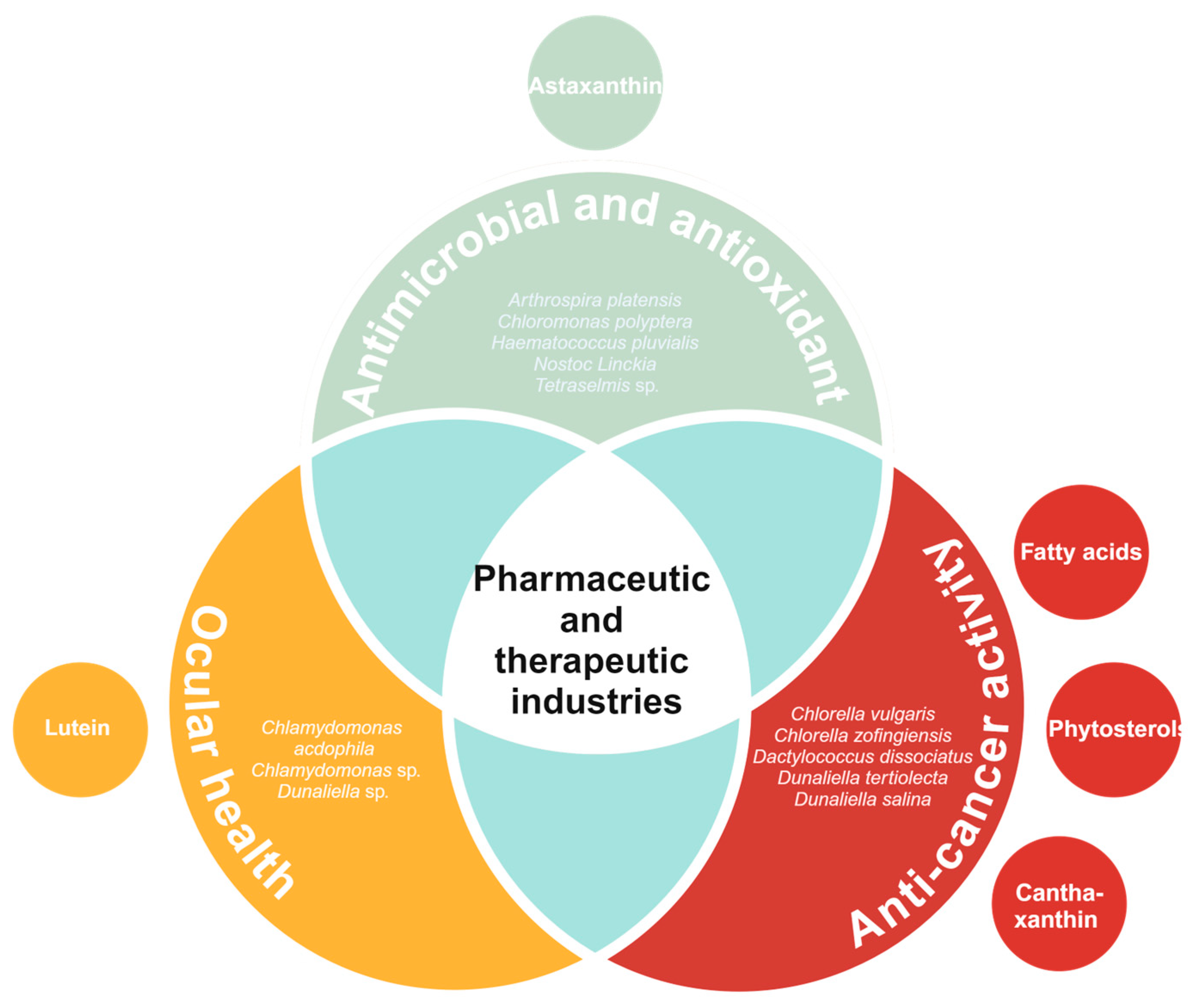 Biology 13 00712 g006 Biology 13 00712 g006