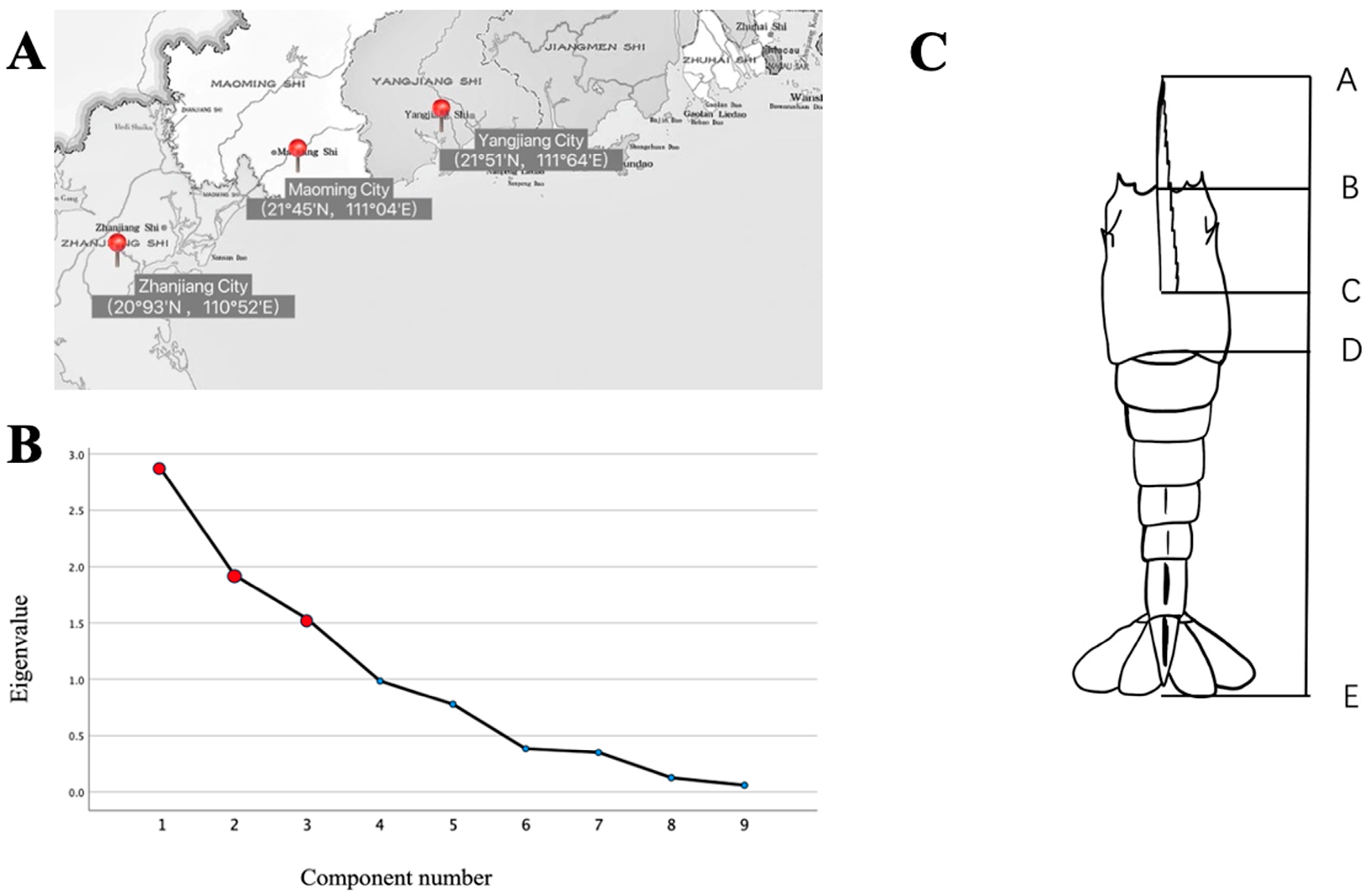 Biology 13 00722 g001