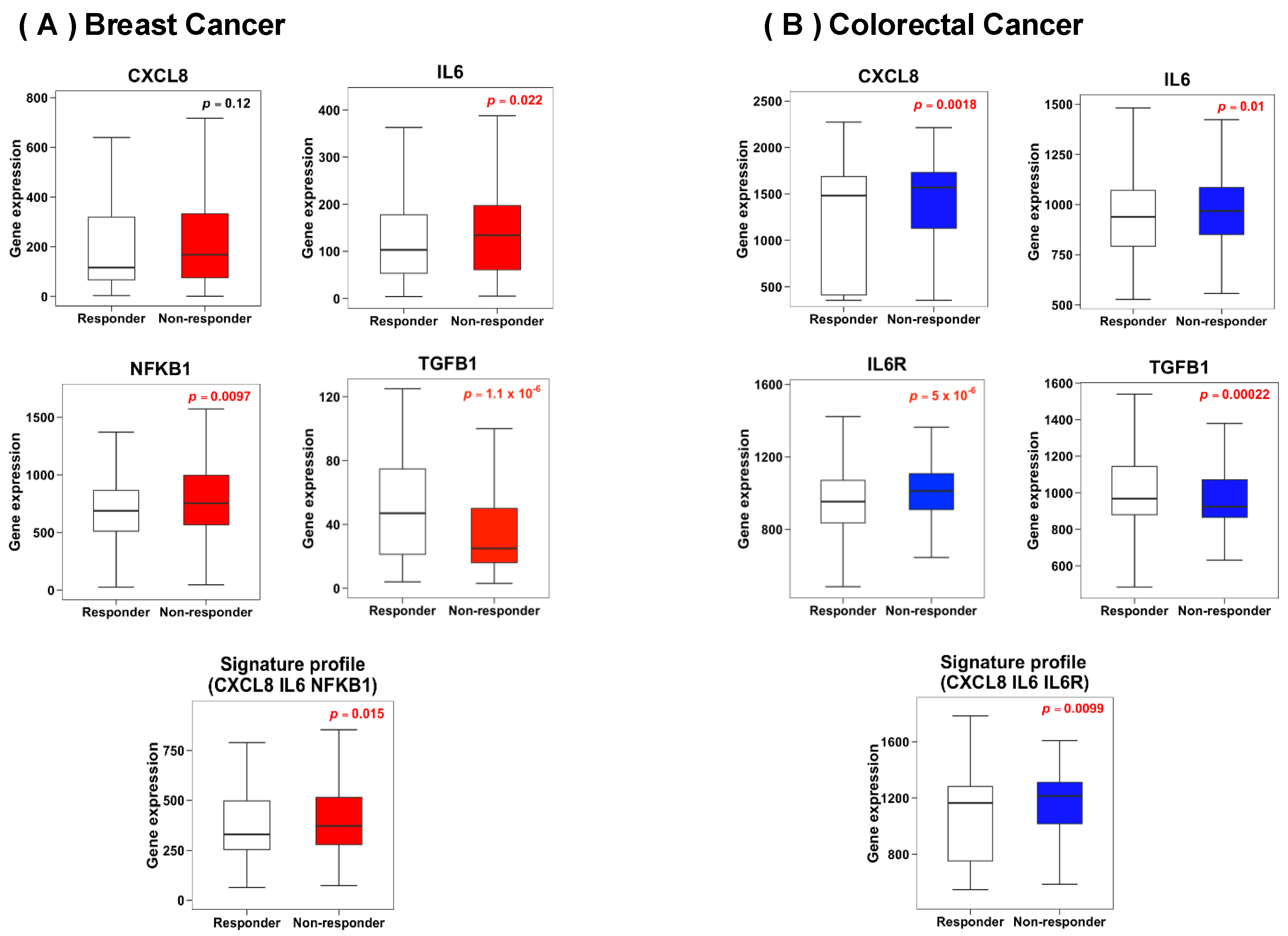 Biology 13 00724 g003 Biology 13 00724 g003