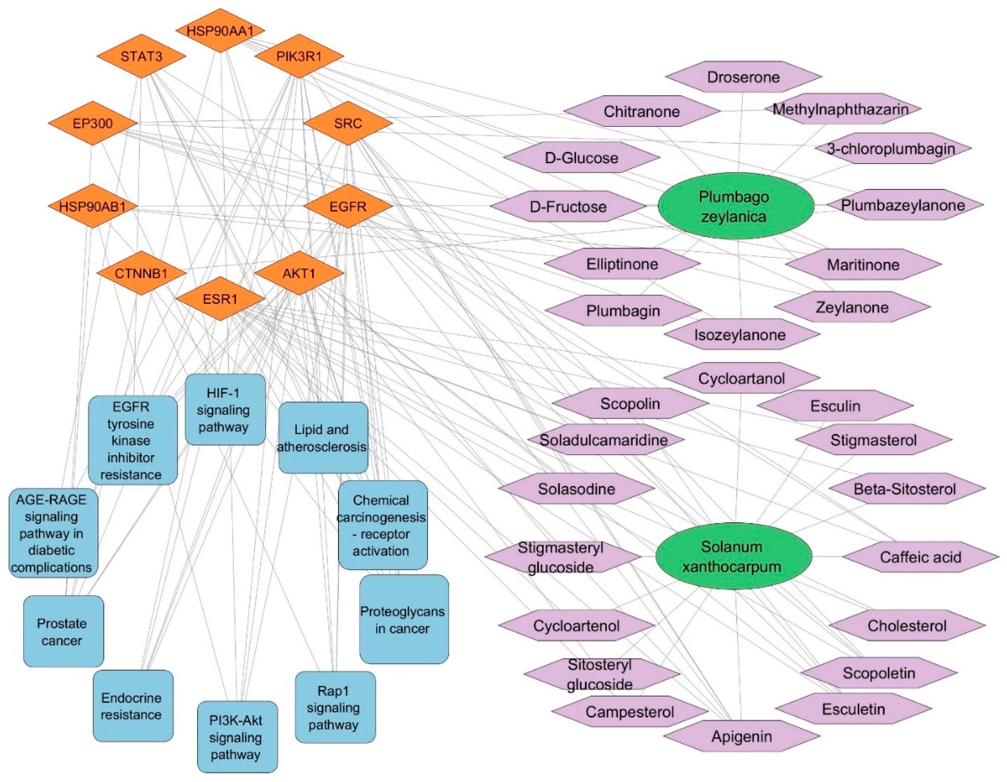 Biology 13 00732 g003