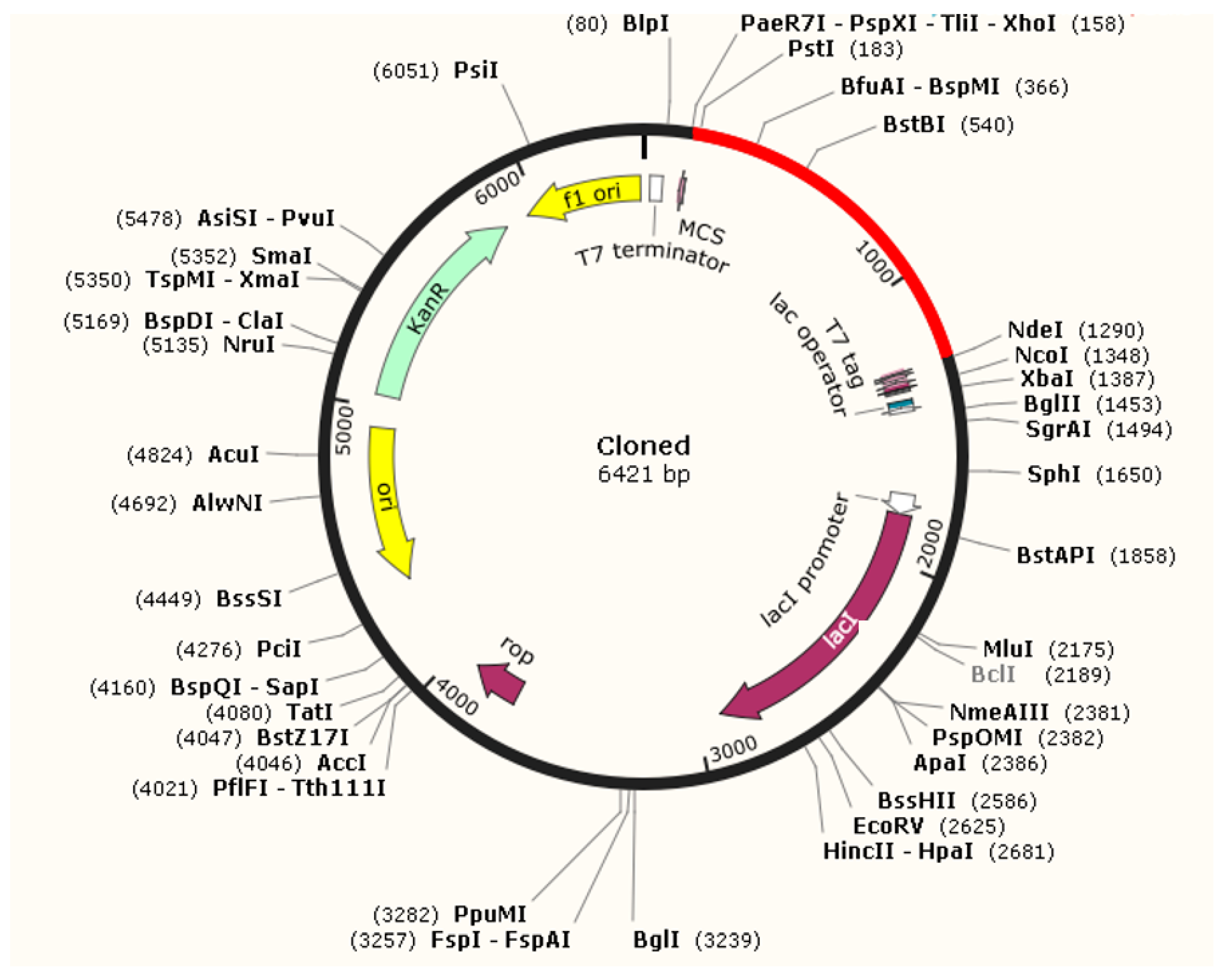 Biology 13 00738 g006