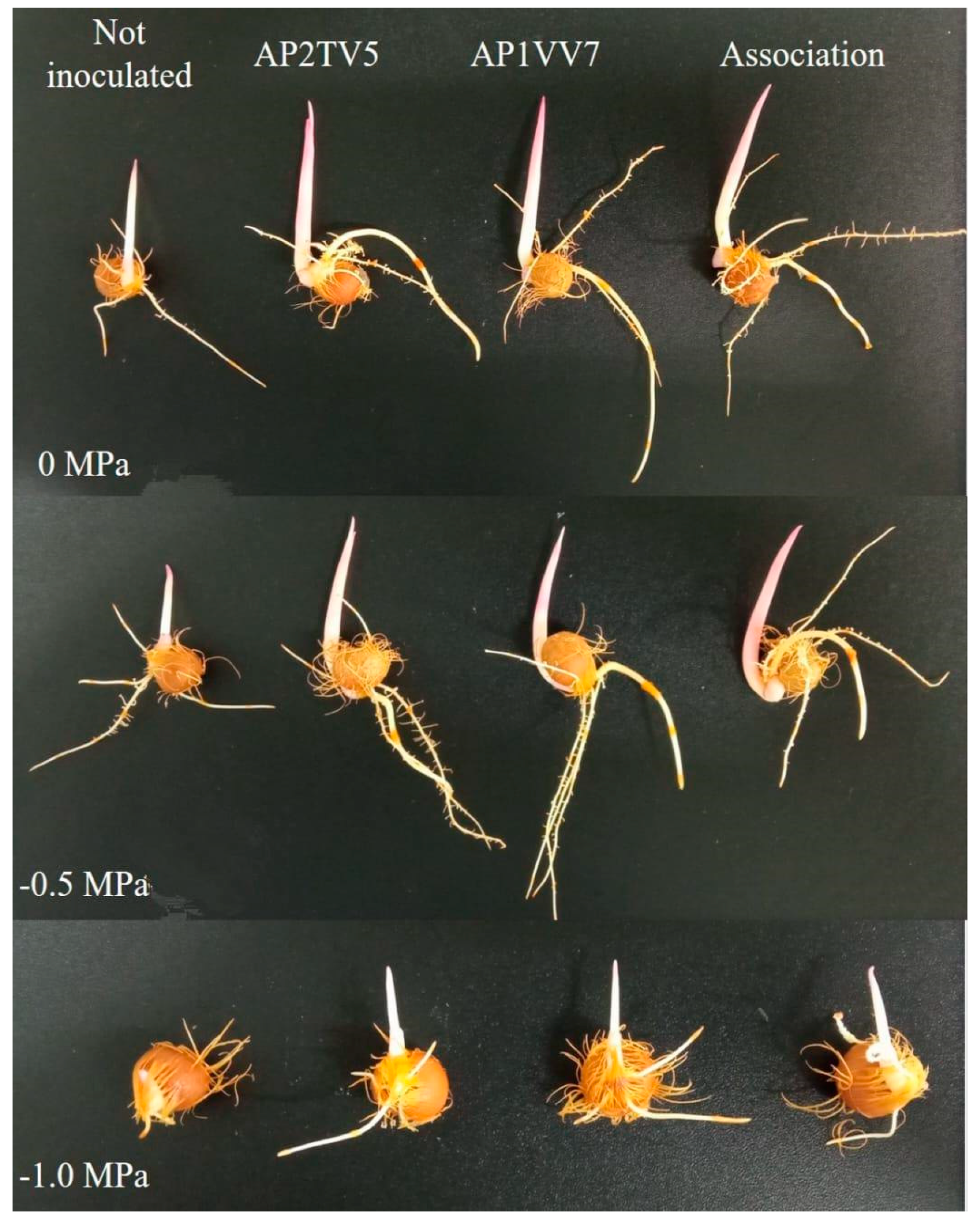 Biology 13 00757 g005