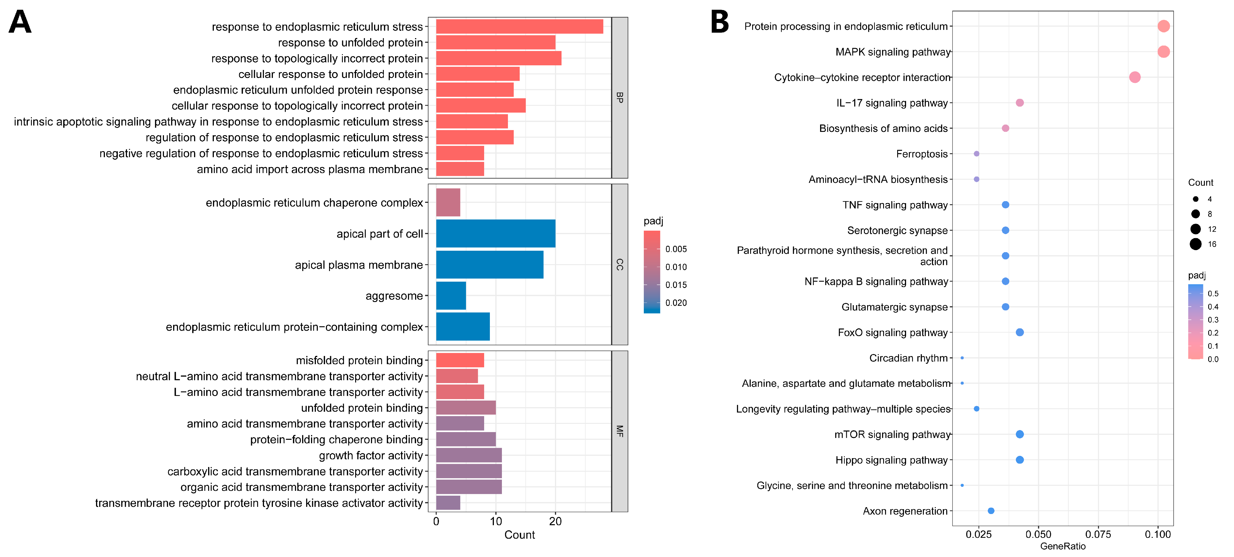 Biology 13 00774 g003