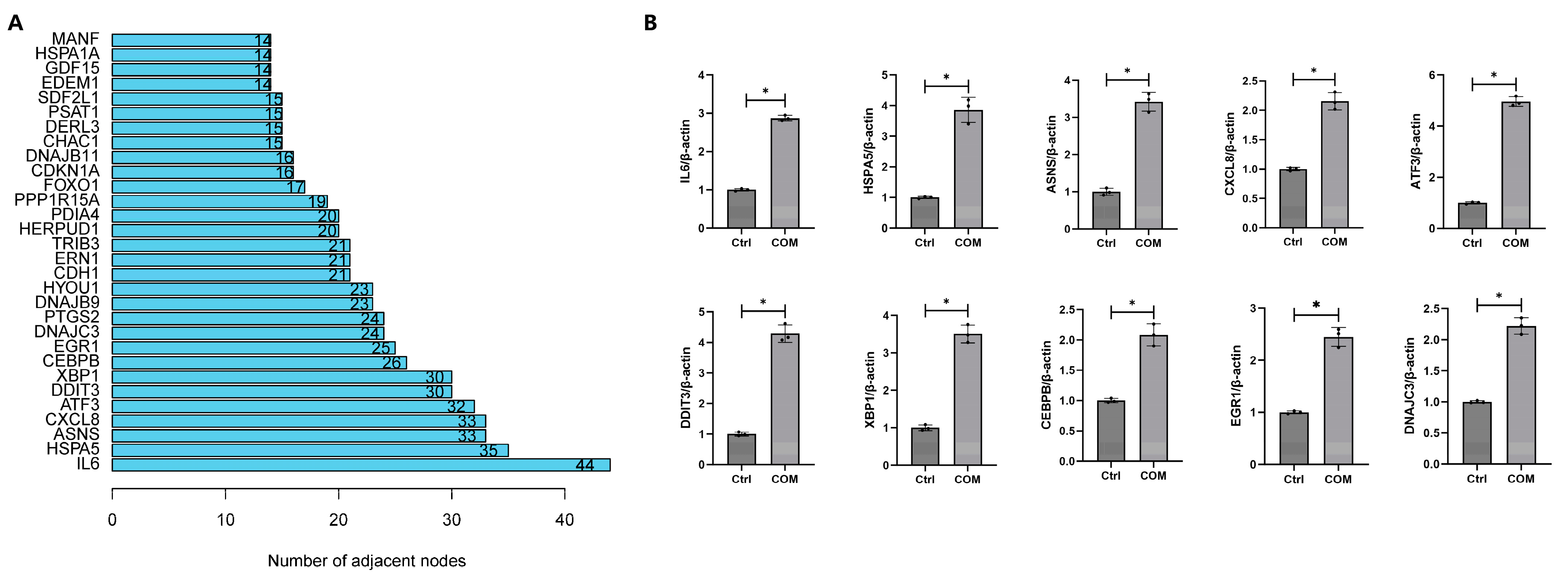 Biology 13 00774 g006