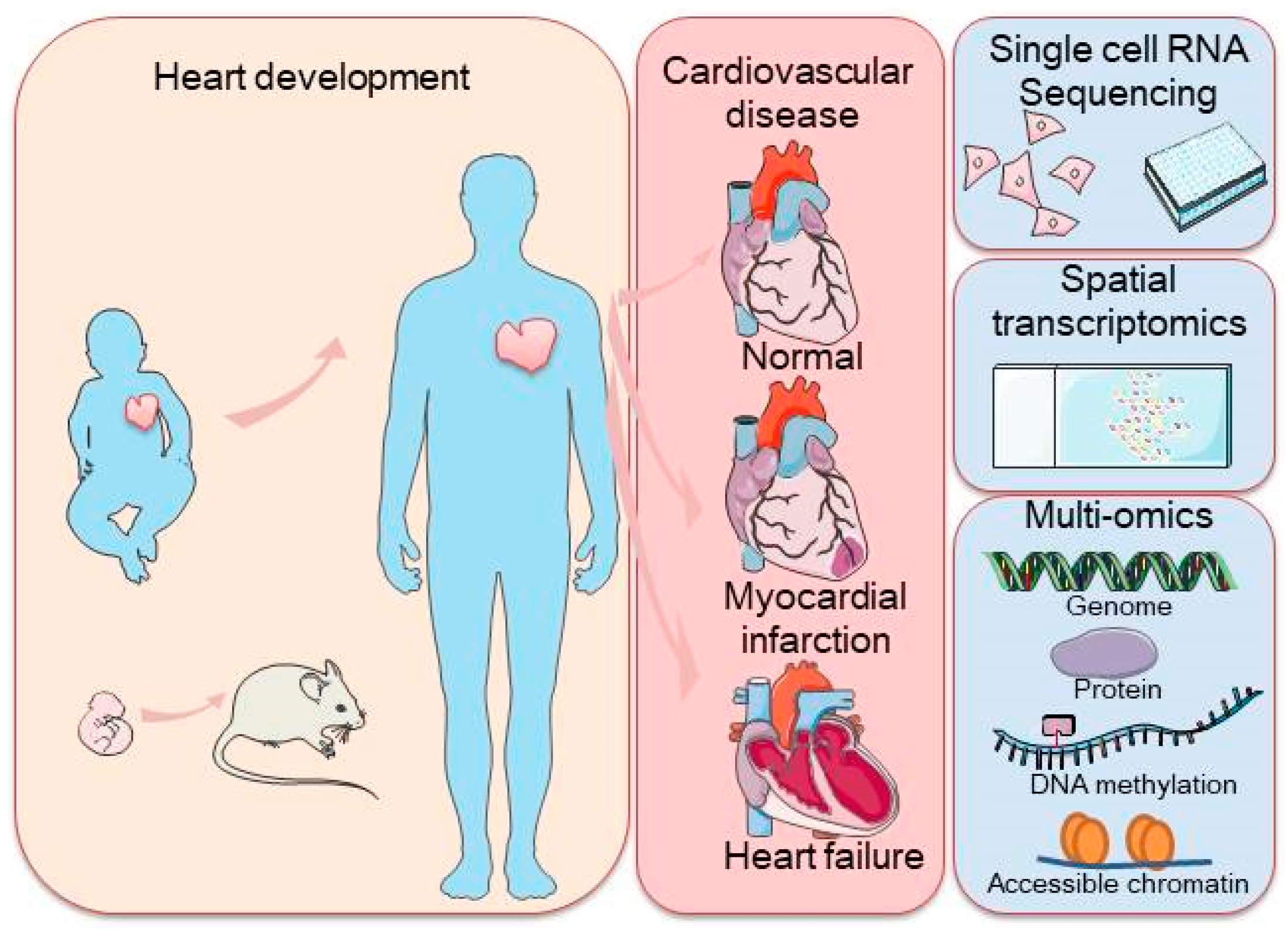 Biology 13 00783 g001
