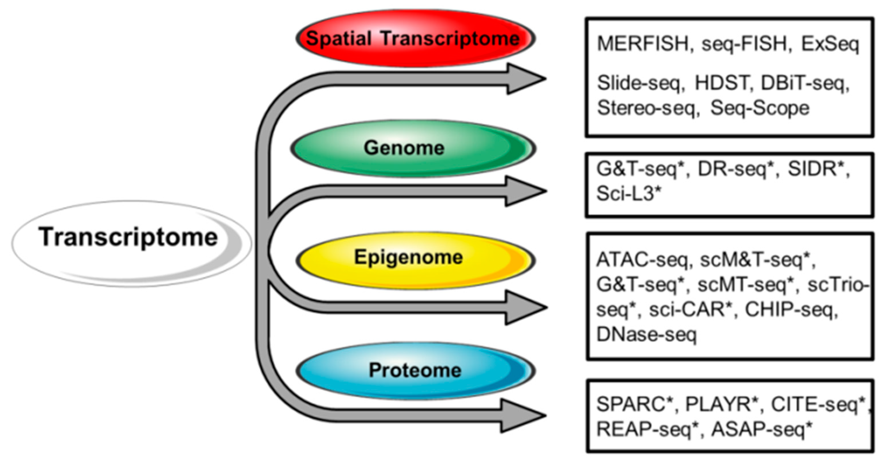 Biology 13 00783 g002