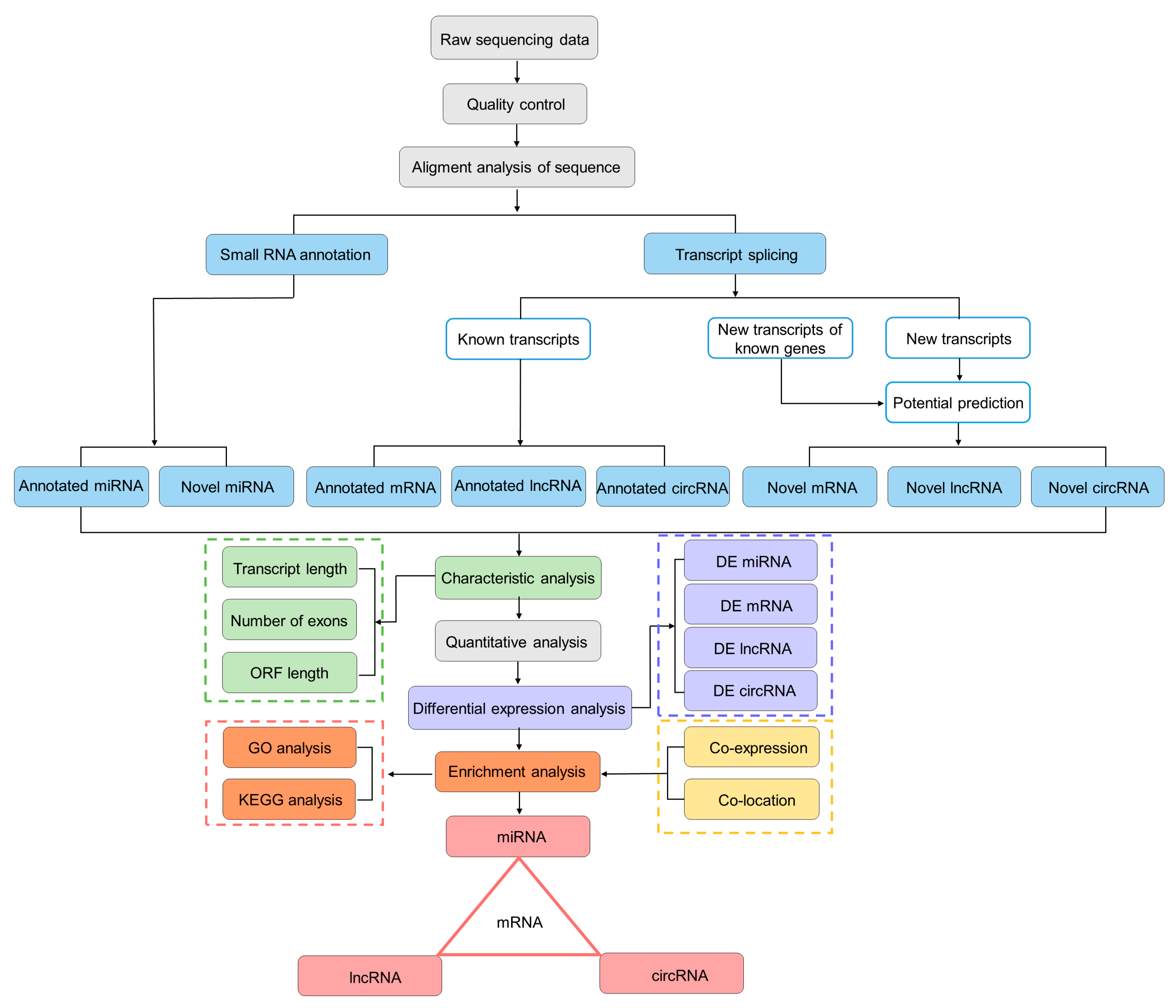 Biology 13 00788 g002 Biology 13 00788 g002