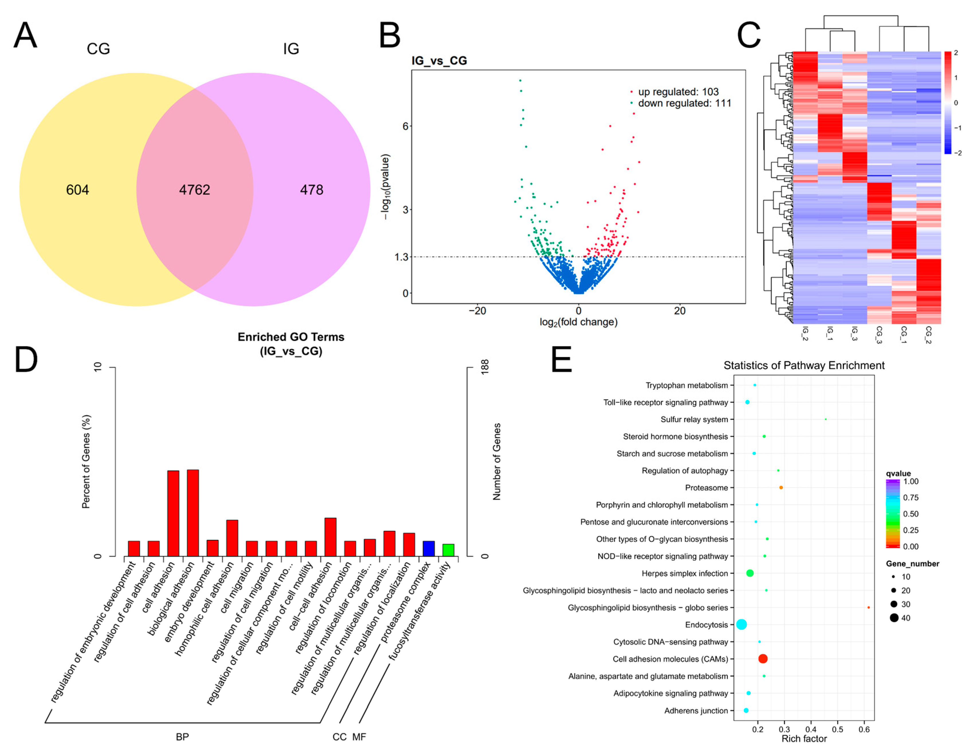 Biology 13 00788 g004 Biology 13 00788 g004