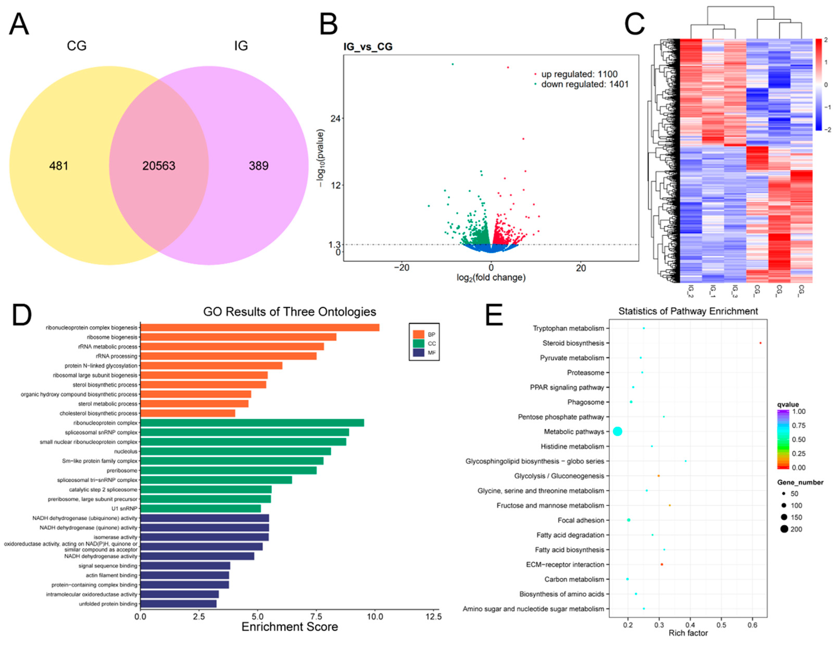 Biology 13 00788 g006 Biology 13 00788 g006