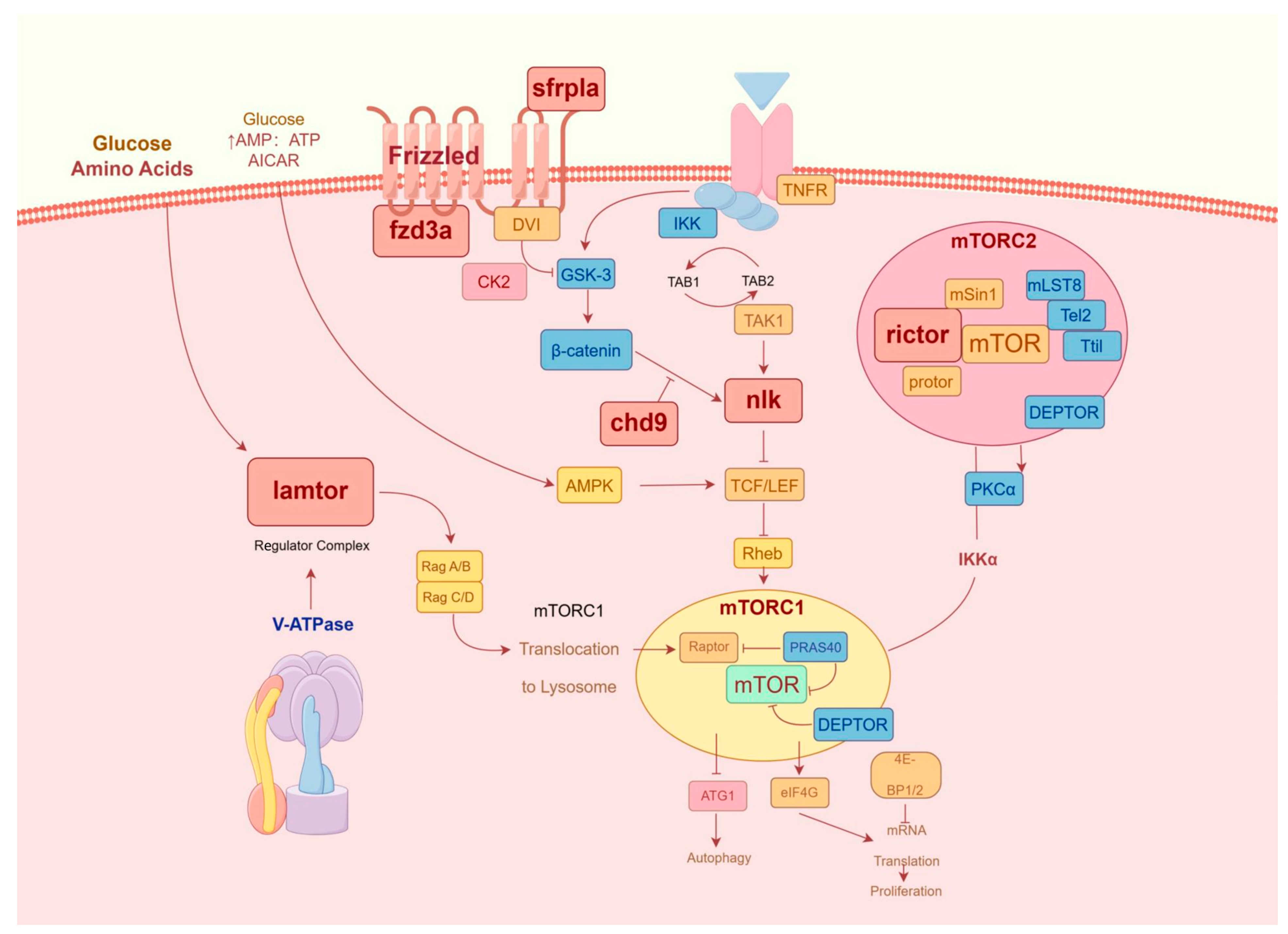 Biology 13 00788 g009 Biology 13 00788 g009