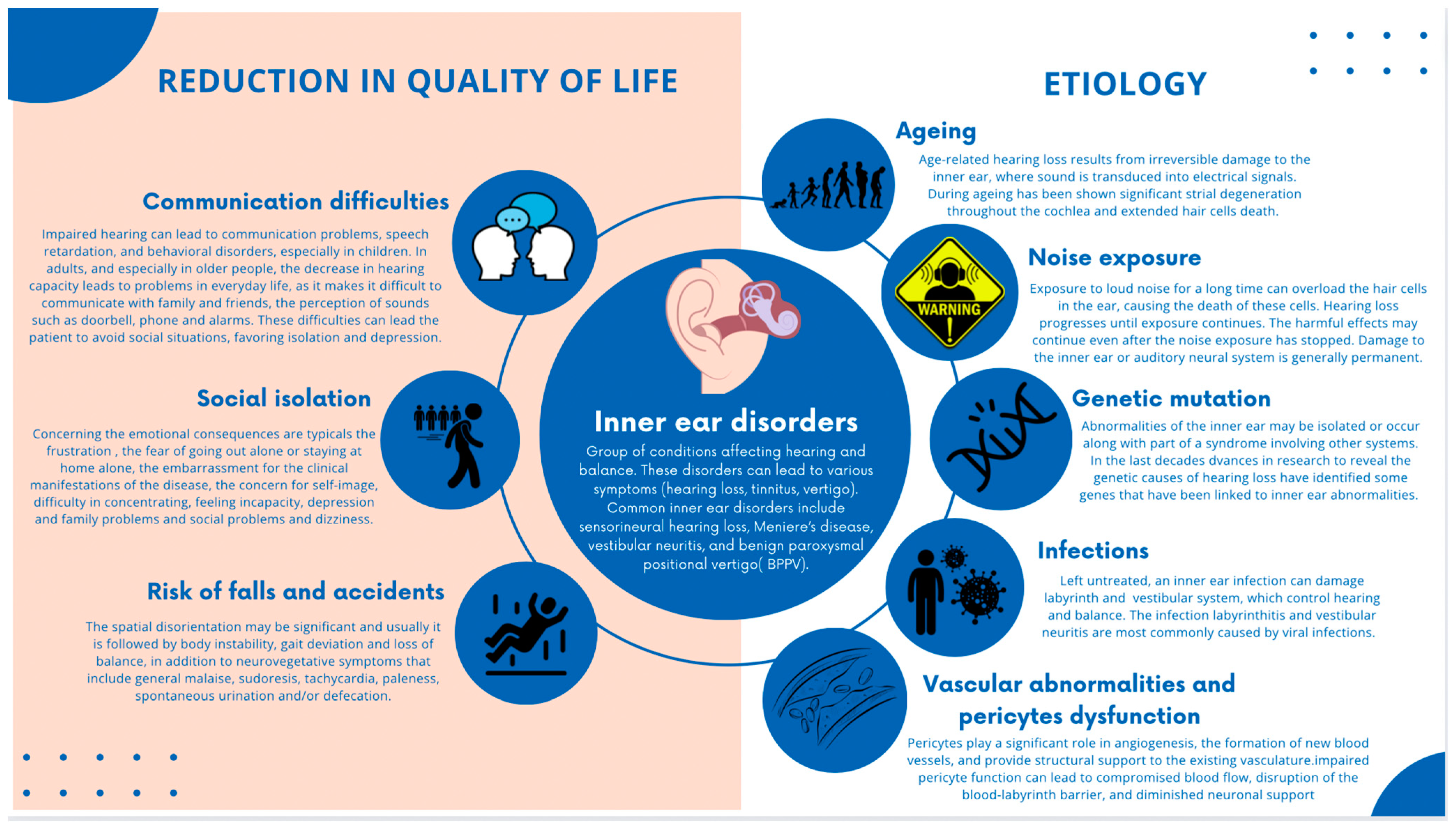 Biology 13 00802 g001