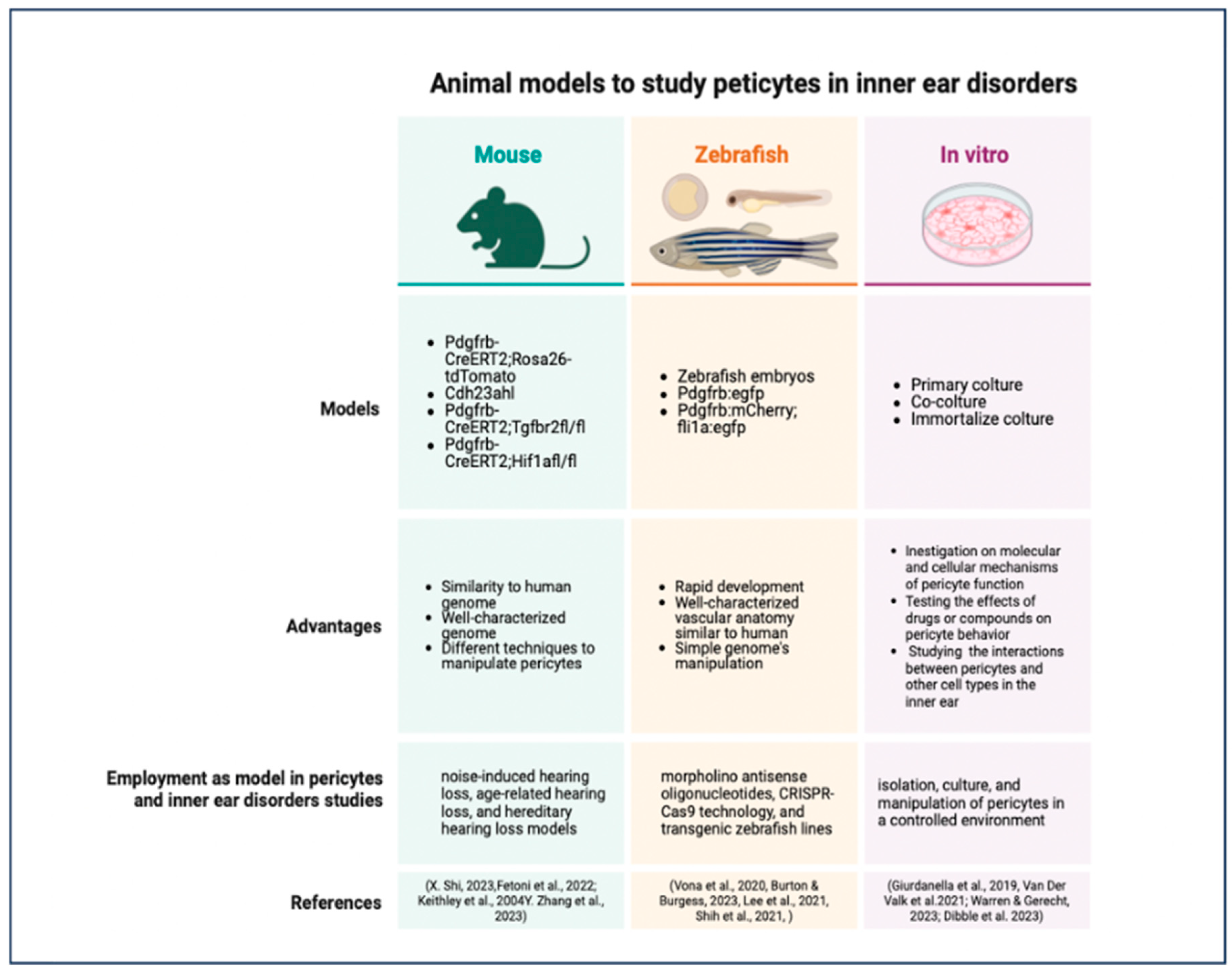 Biology 13 00802 g006