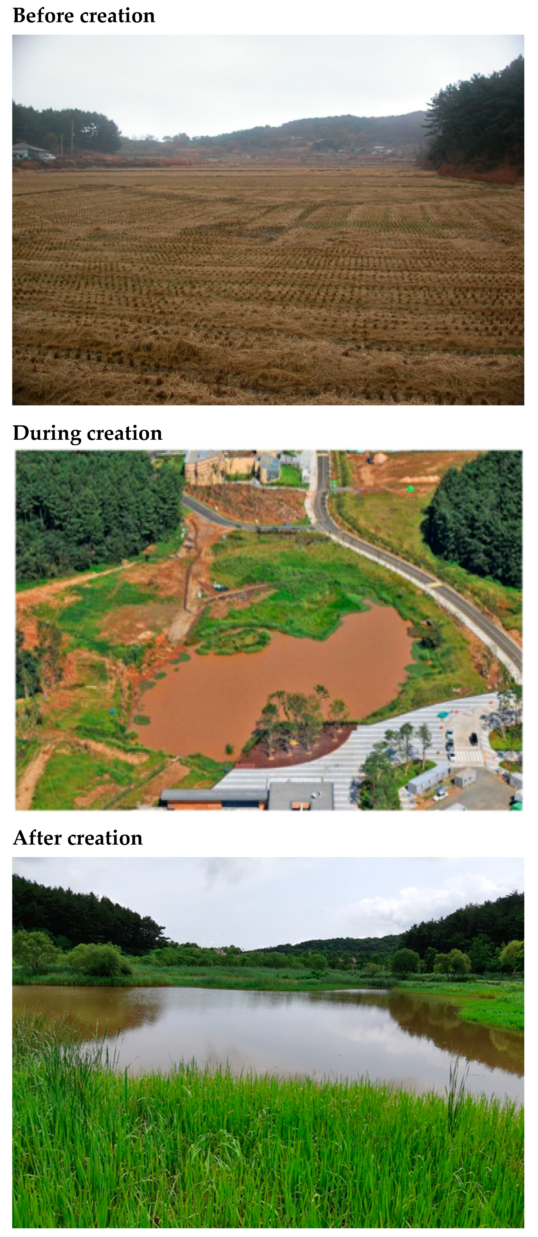 Biology 13 00820 sch001 Biology 13 00820 sch001