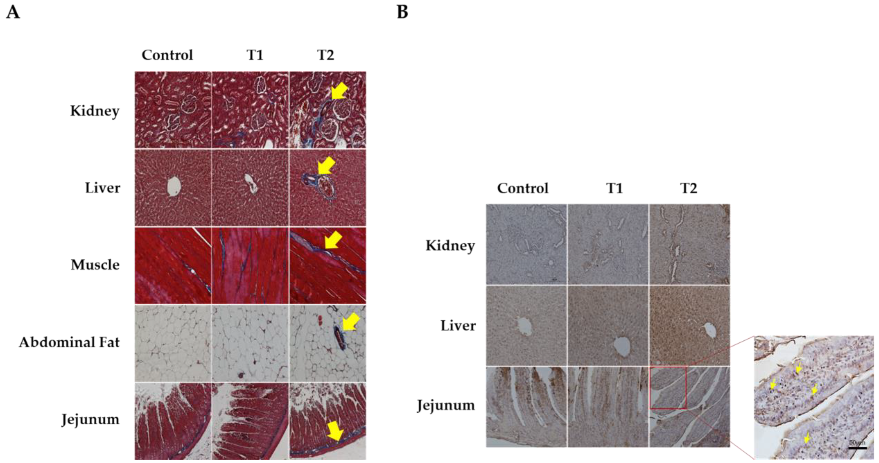 Biology 13 00836 g002