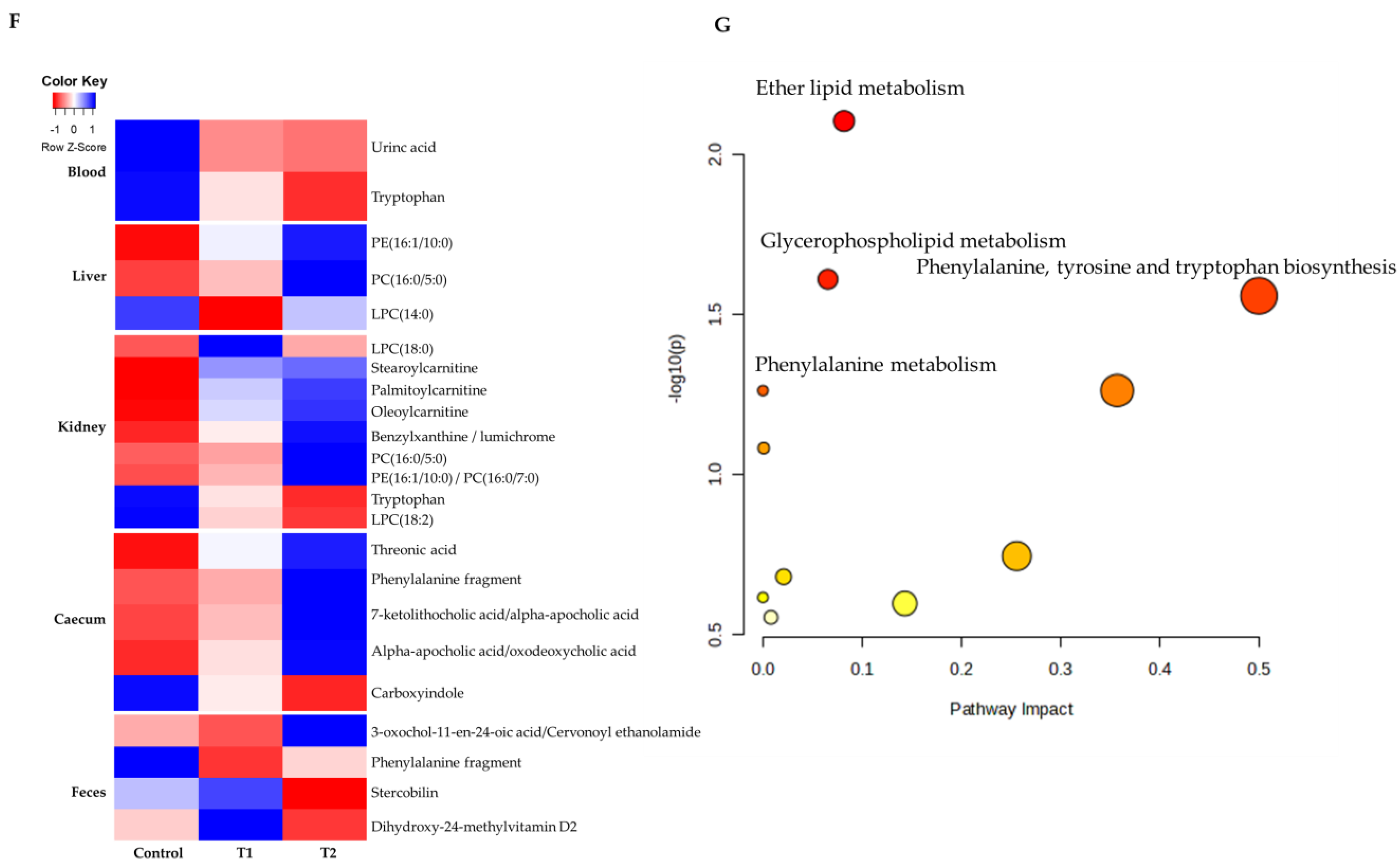 Biology 13 00836 g003b