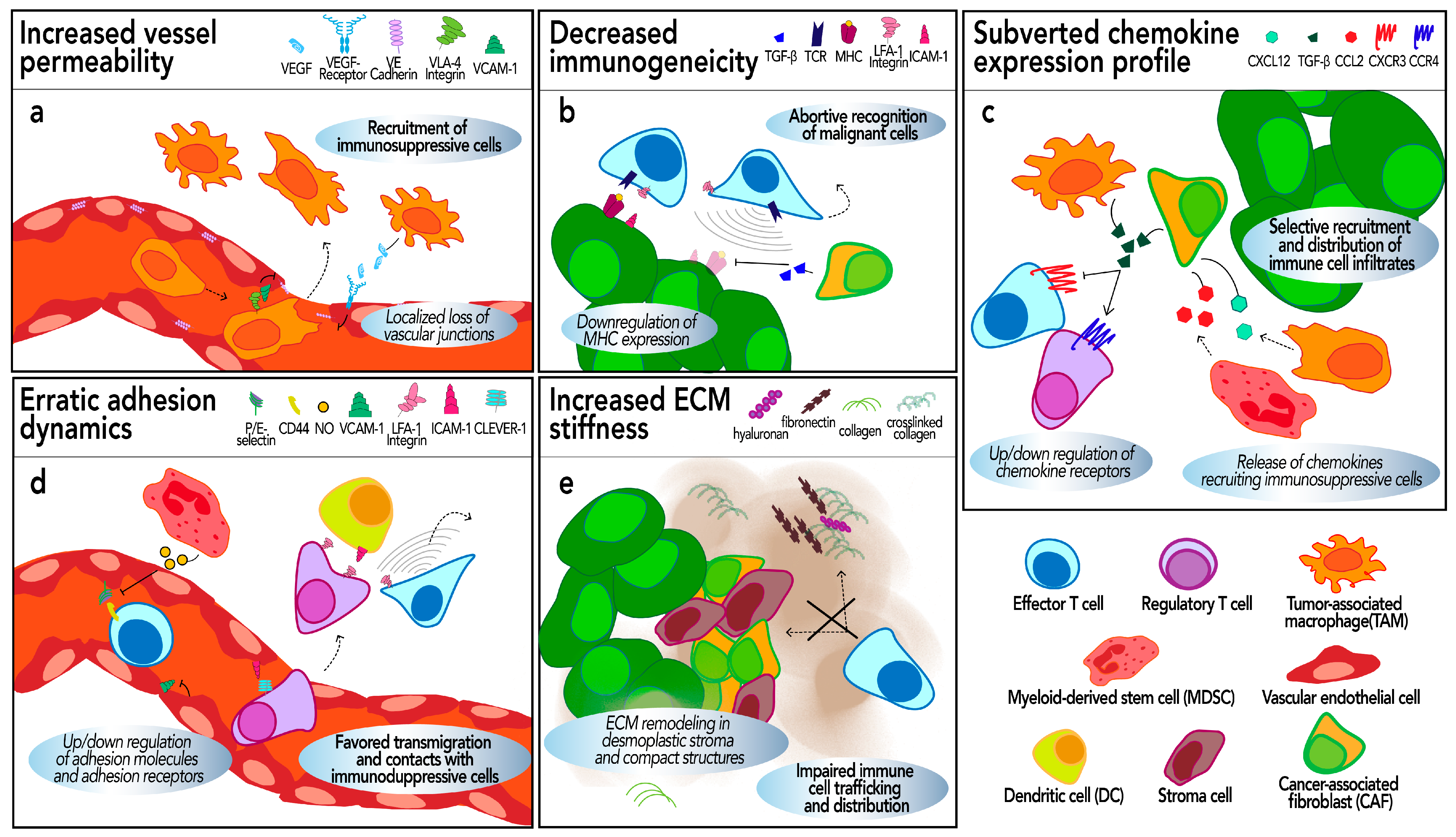 Biology 13 00860 g002 Biology 13 00860 g002