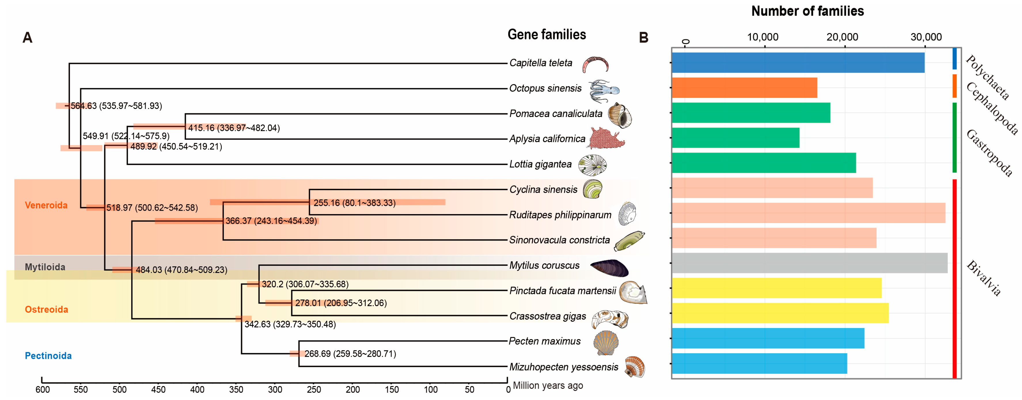 Biology 13 00870 g003